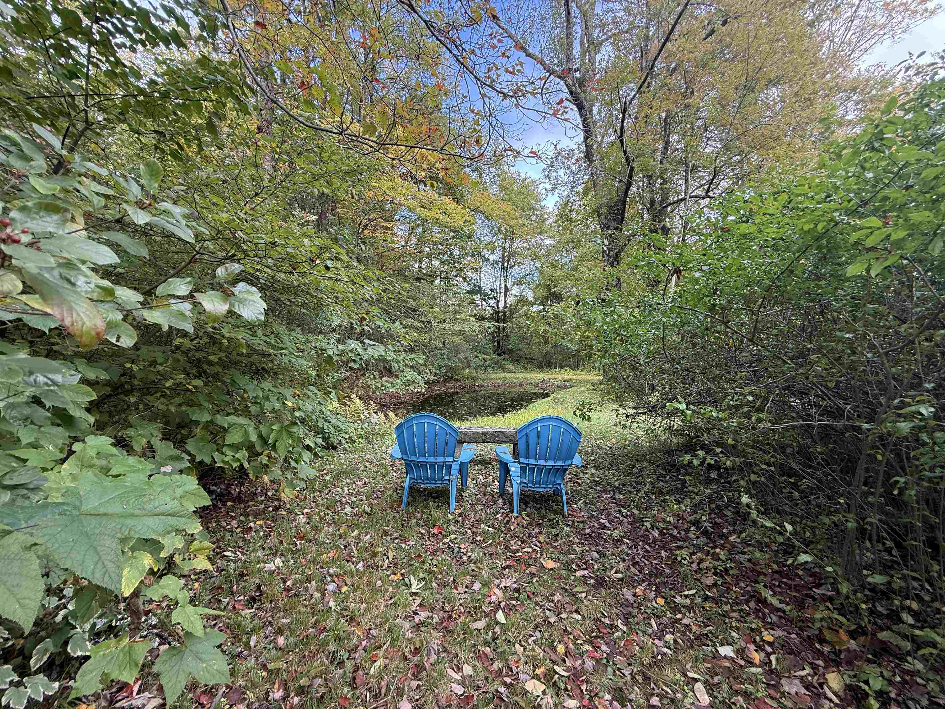 85 Brown's Road Property Photo 39