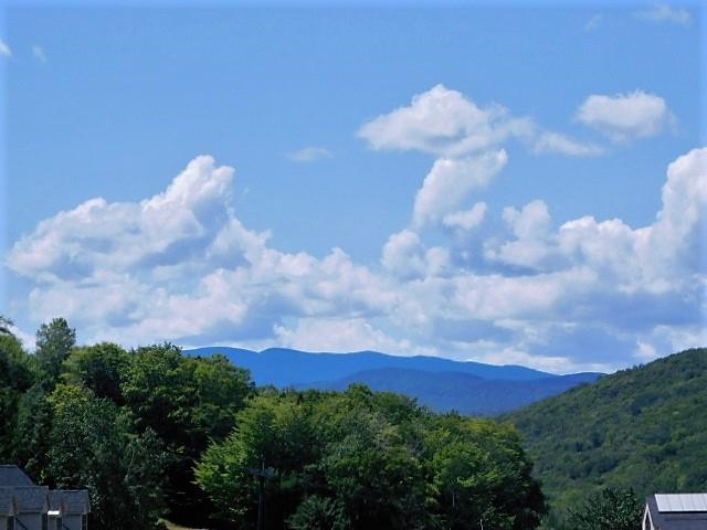90 Loon Mountain Road Property Photo 7