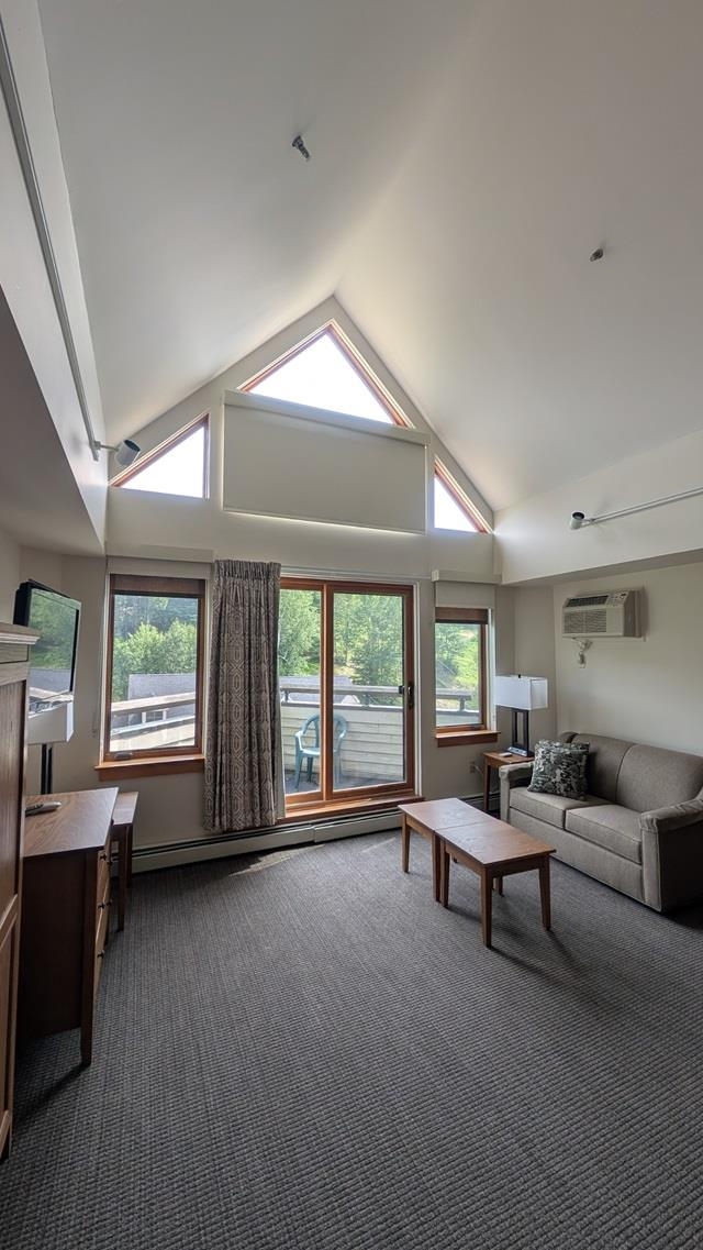 90 Loon Mountain Road Property Photo 12