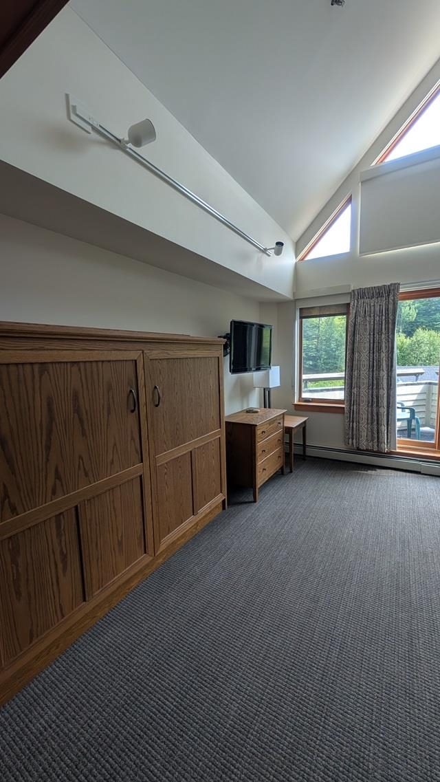 90 Loon Mountain Road Property Photo 13