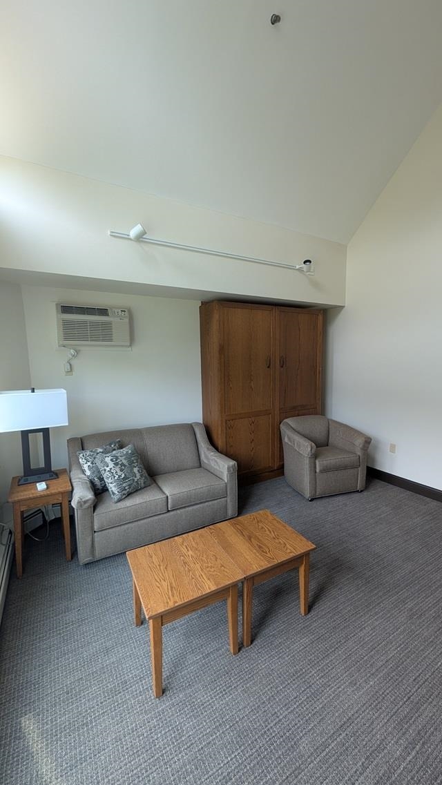 90 Loon Mountain Road Property Photo 14