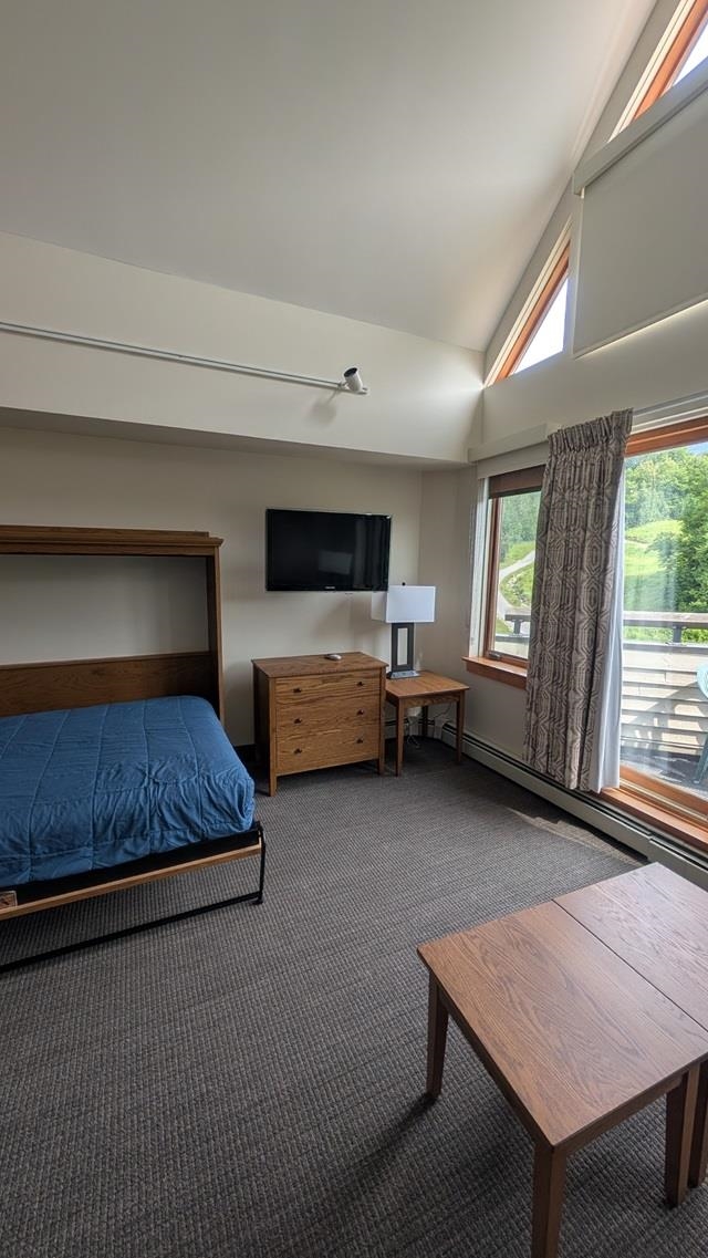 90 Loon Mountain Road Property Photo 15