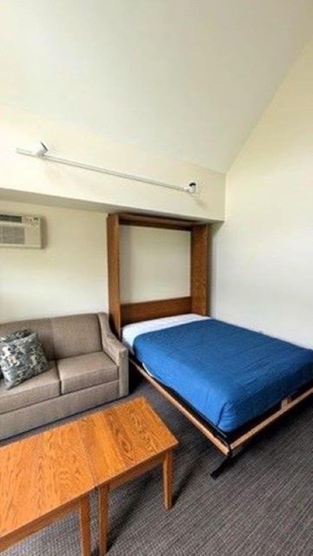 90 Loon Mountain Road Property Photo 16
