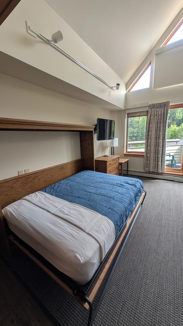 90 Loon Mountain Road Property Photo 18