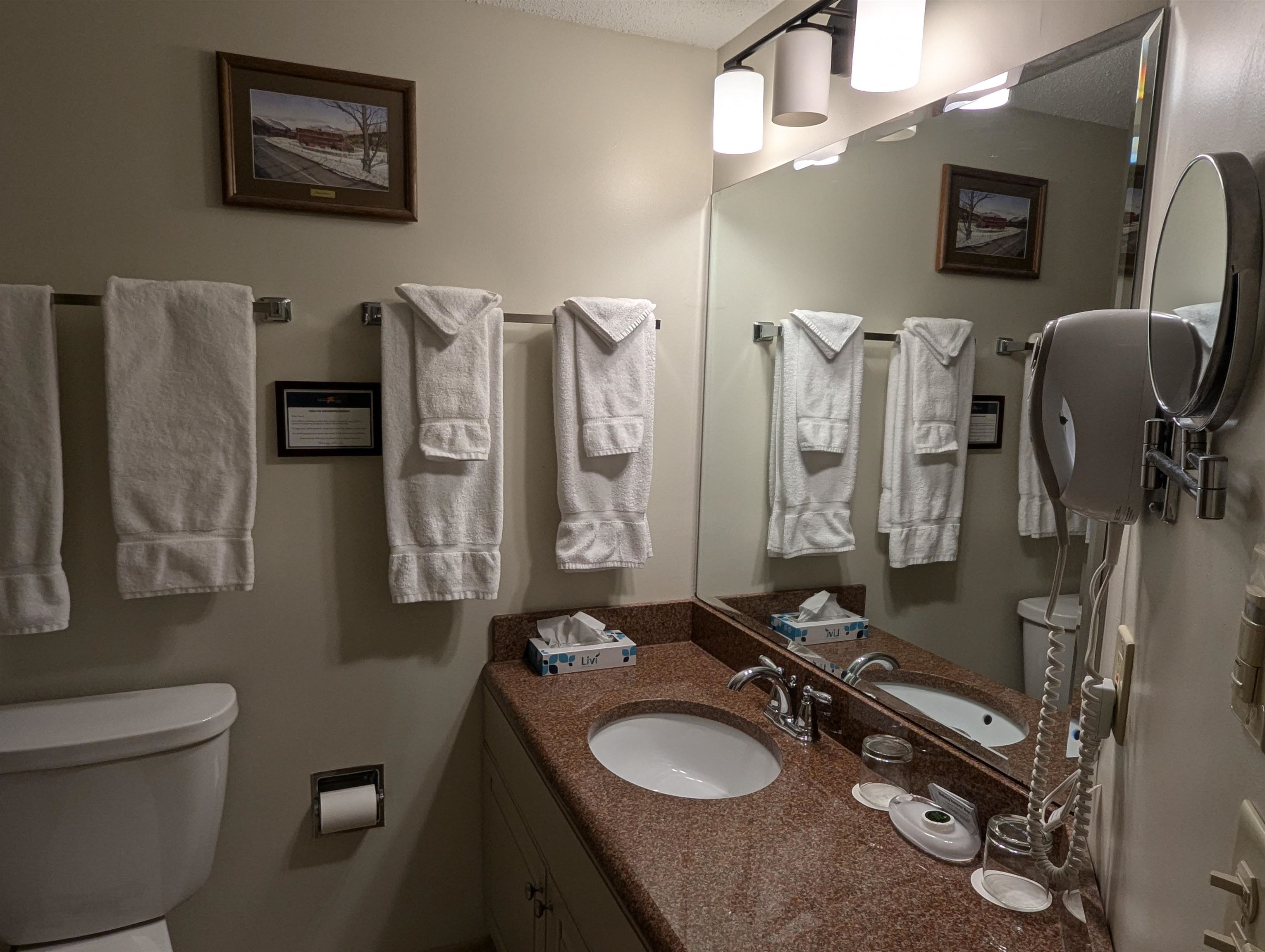 90 Loon Mountain Road Property Photo 26