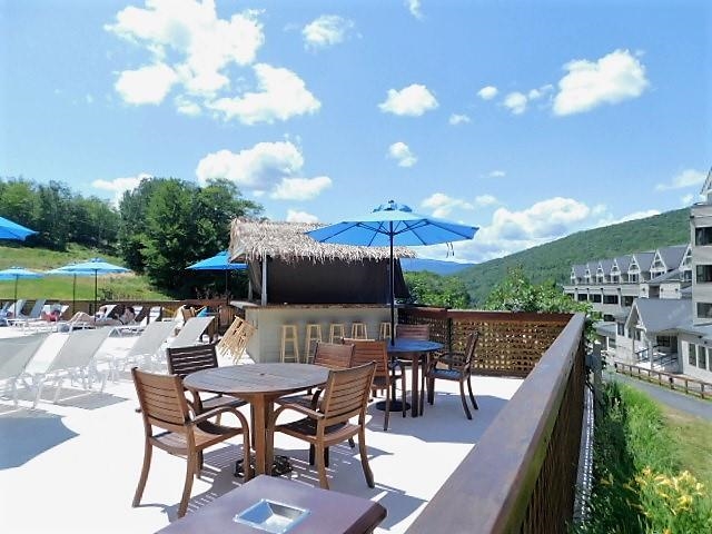 90 Loon Mountain Road Property Photo 43