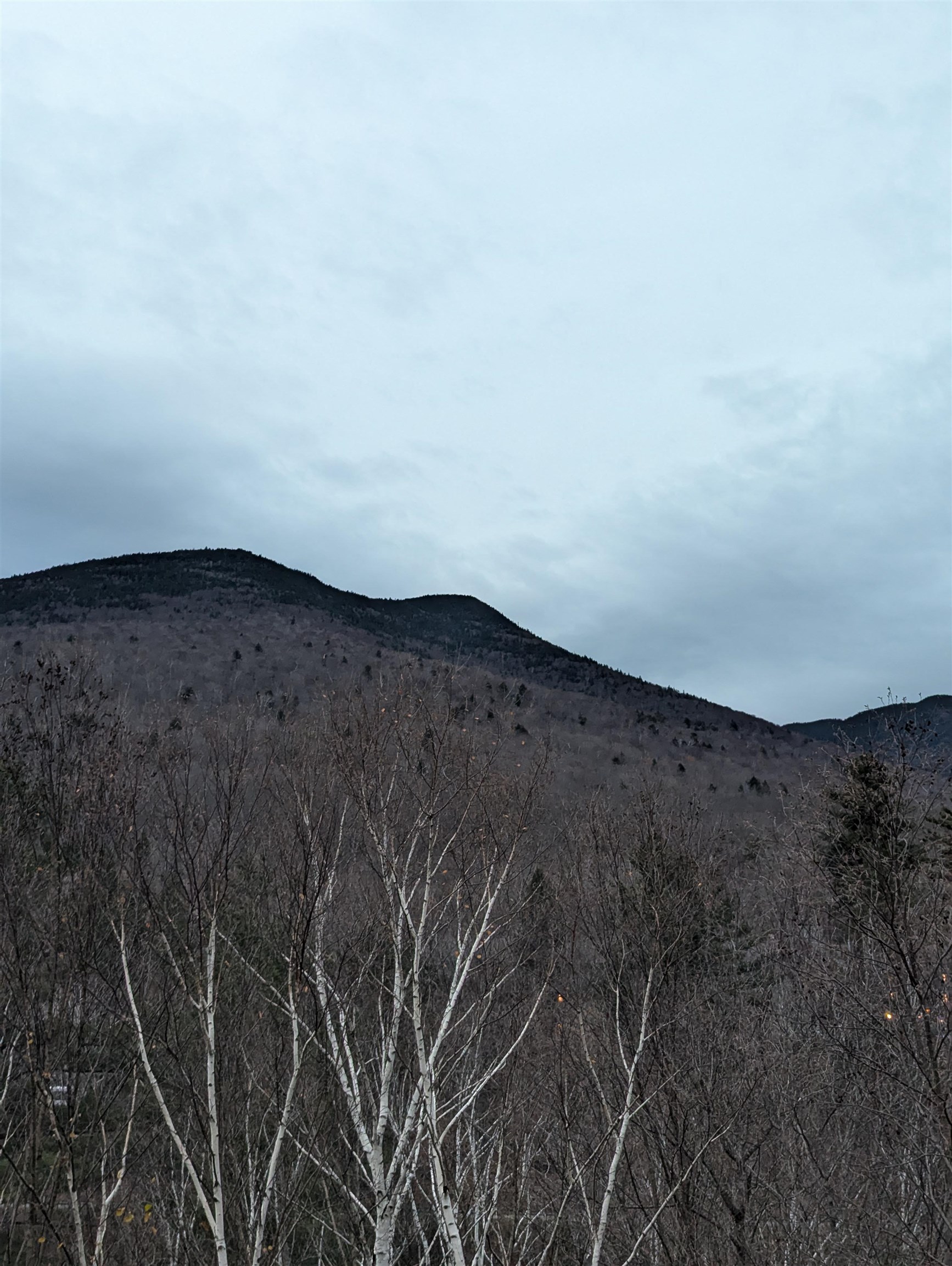 90 Loon Mountain Road Property Photo 45