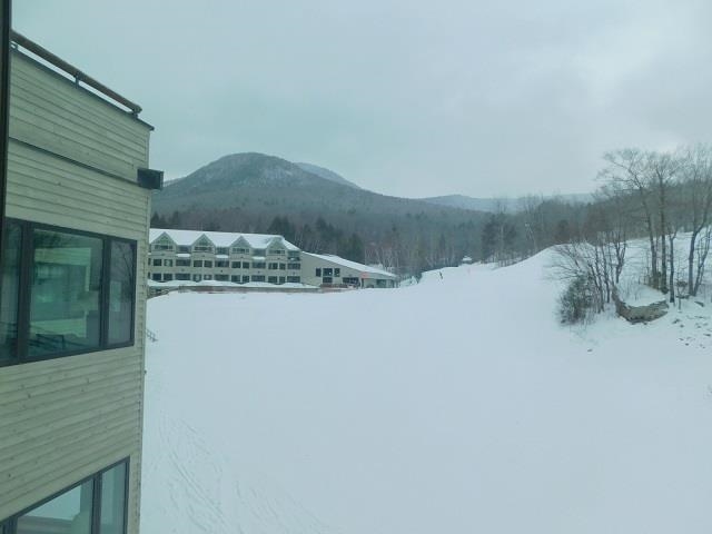 90 Loon Mountain Road Property Photo 50