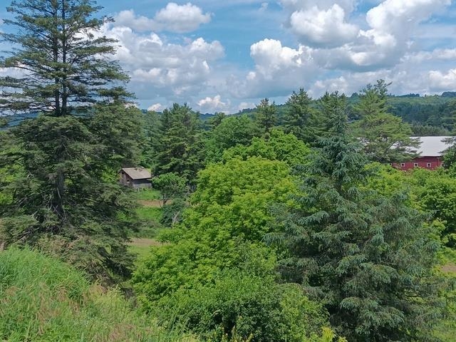 1362 Vail Drive Property Photo 7