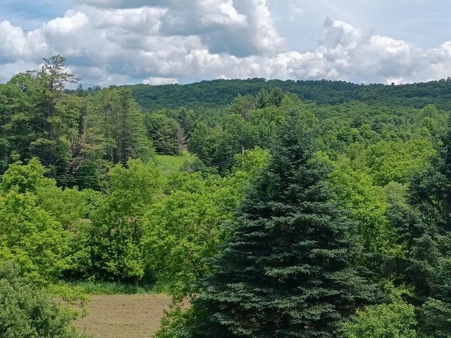 1362 Vail Drive Property Photo 8