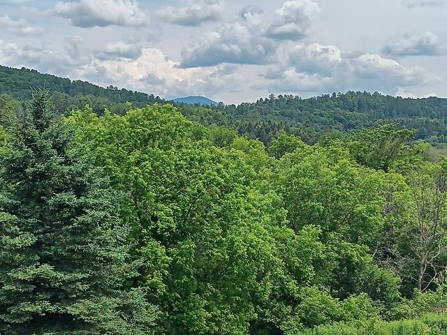 1362 Vail Drive Property Photo 9