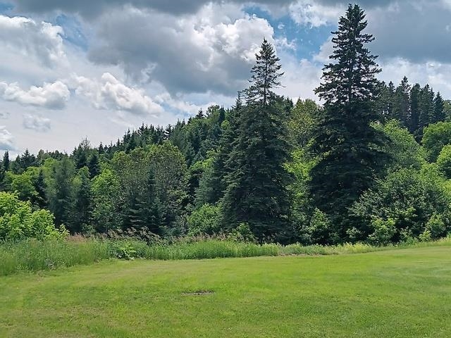 1362 Vail Drive Property Photo 11