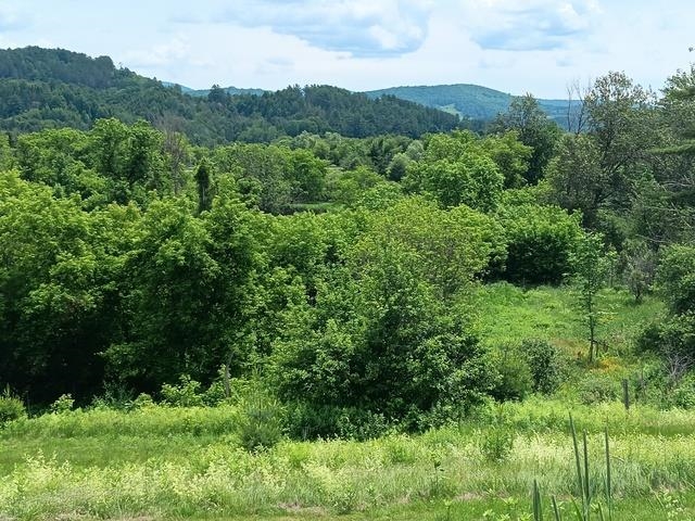 1362 Vail Drive Property Photo 13