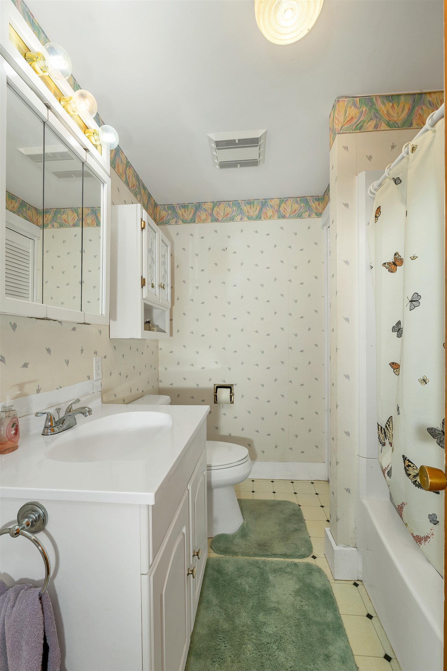 22 Medlyn Street Property Photo 28