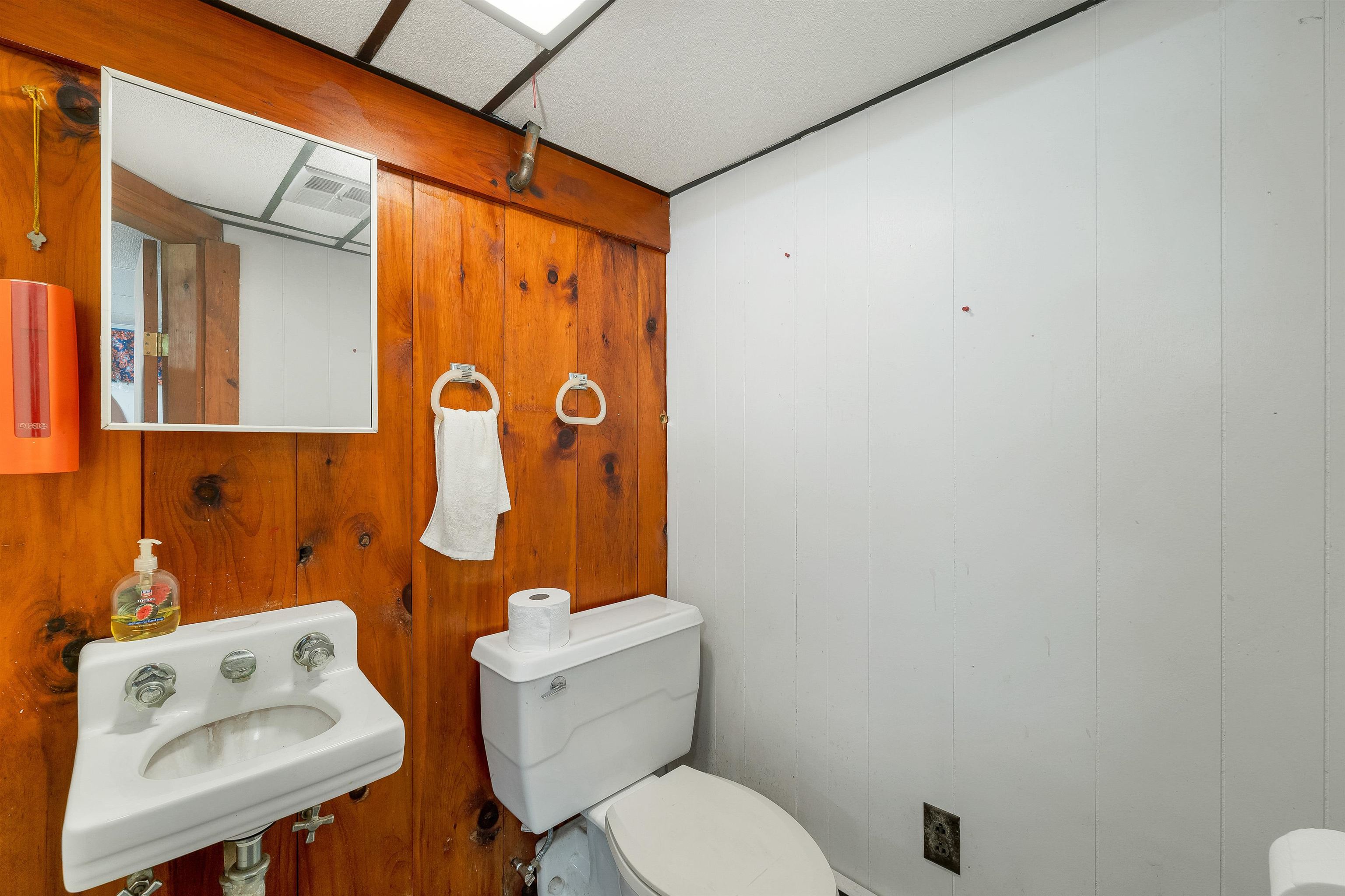 22 Medlyn Street Property Photo 40