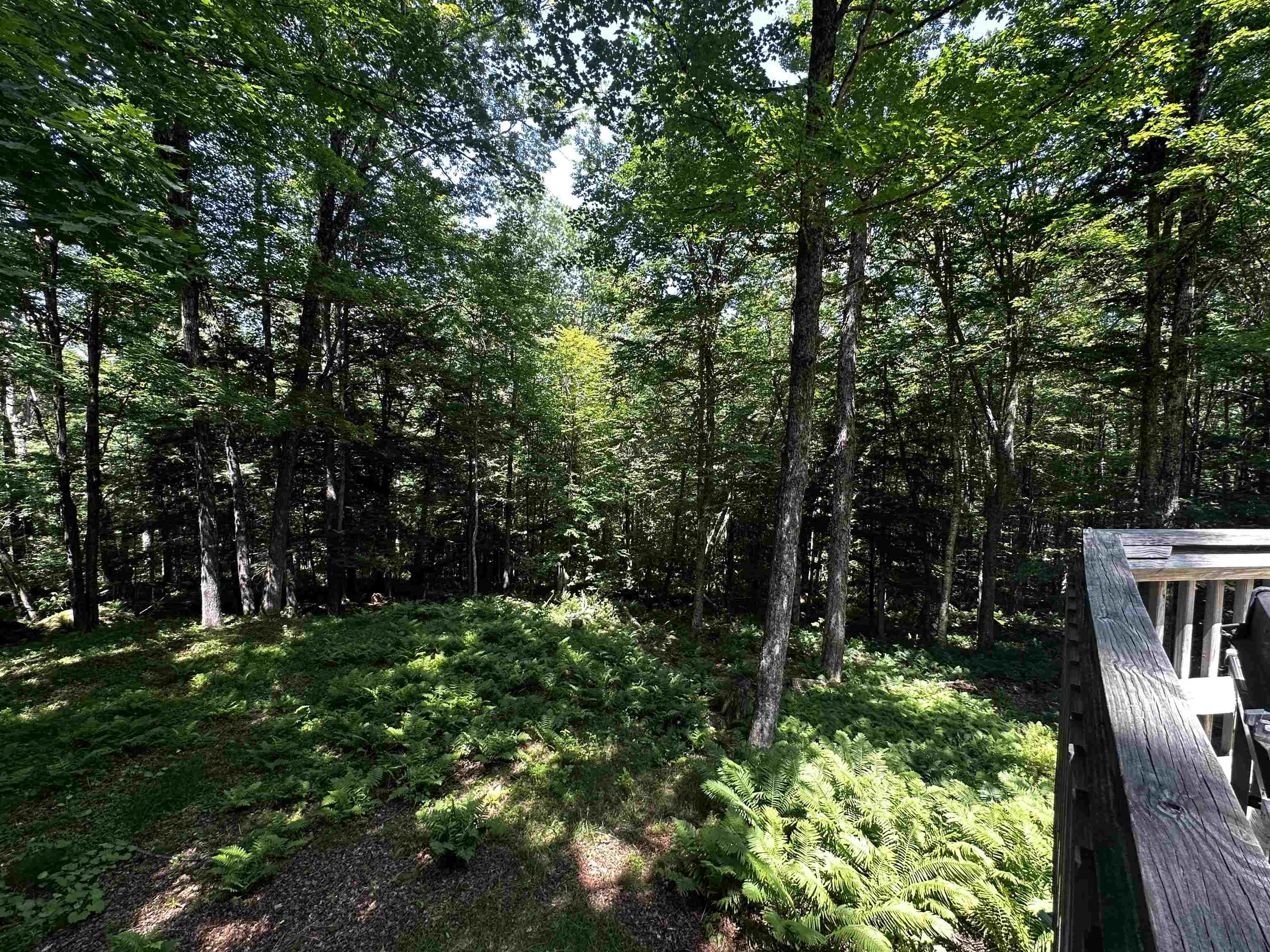 9 Crestbrook Place Property Photo 12