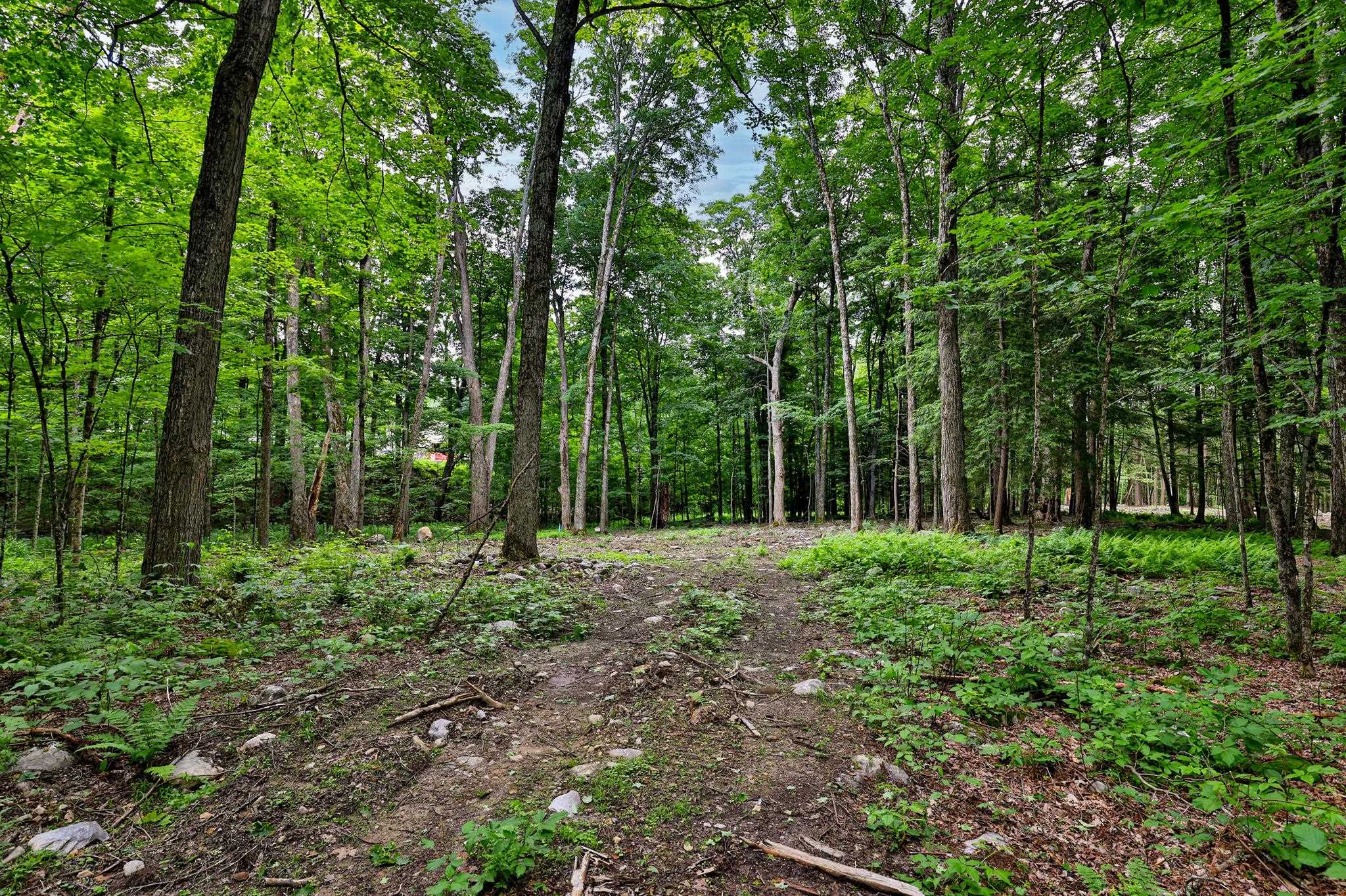 0 Cedar Lane Property Photo 2