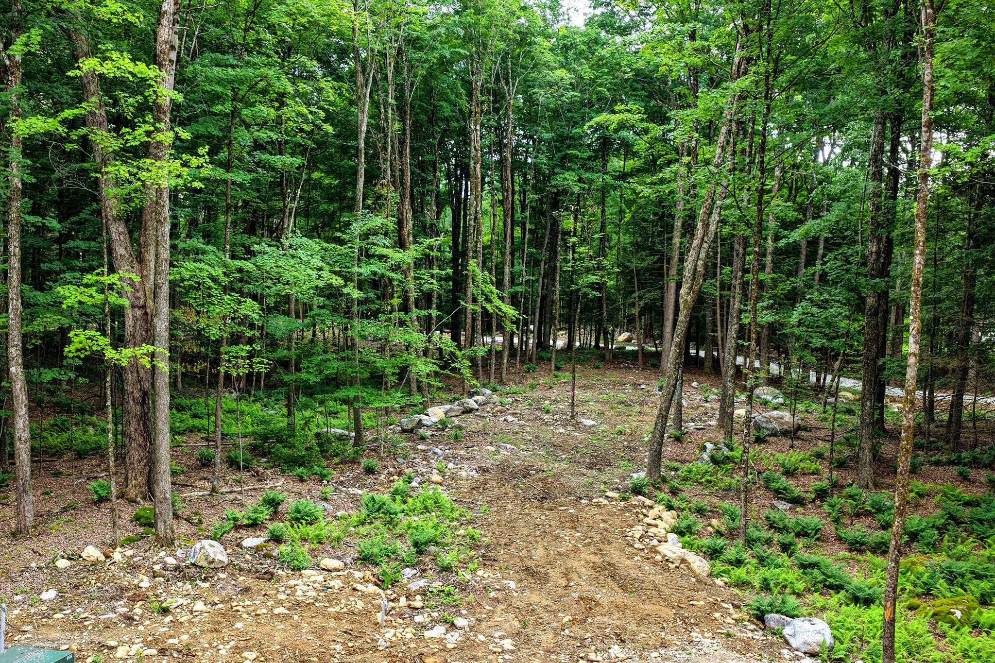 0 Cedar Lane Property Photo 3