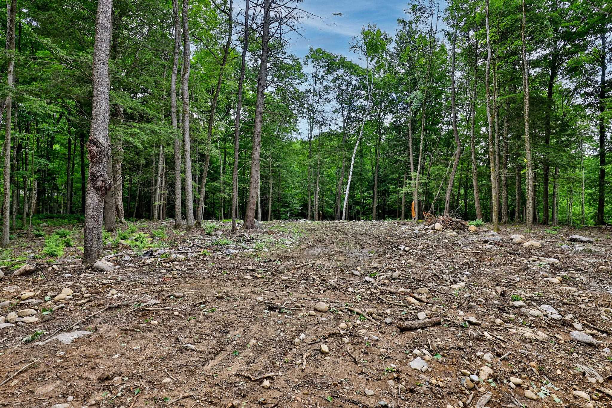 0 Cedar Lane Property Photo 2