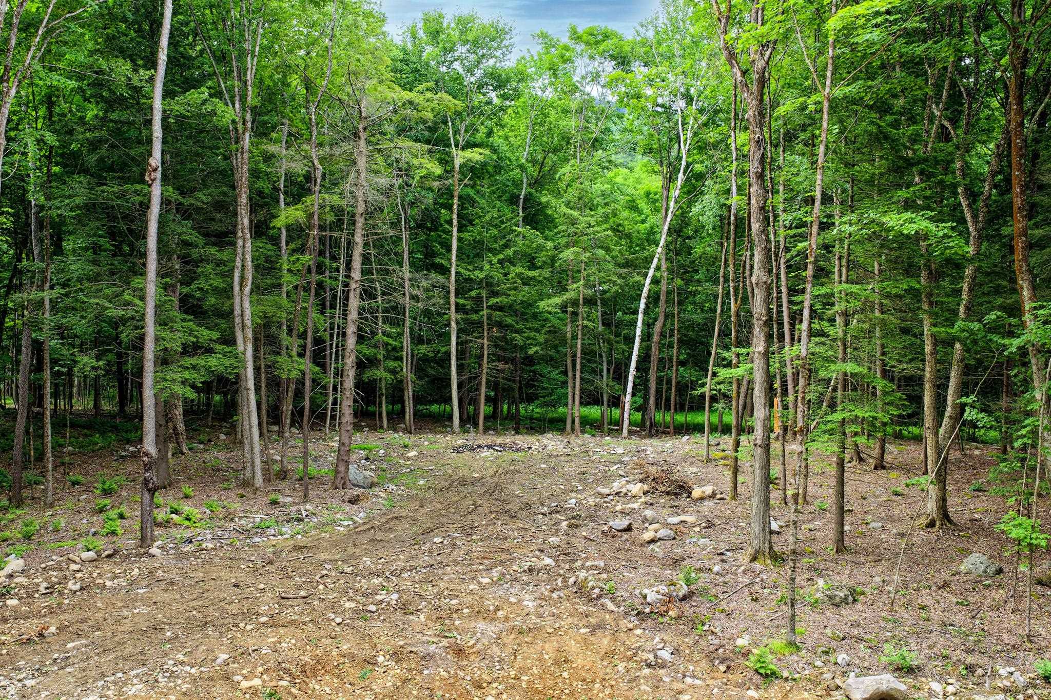 0 Cedar Lane Property Photo 3