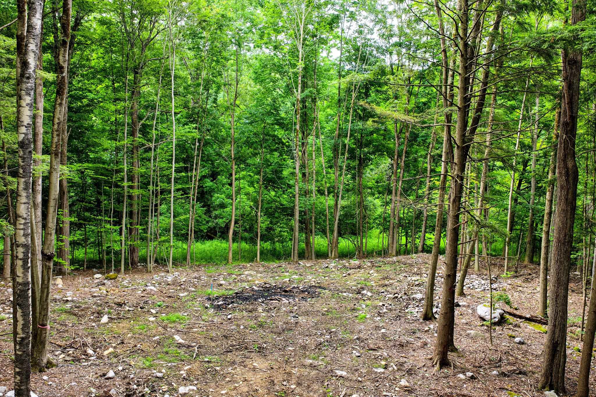 0 Cedar Lane Property Photo 4