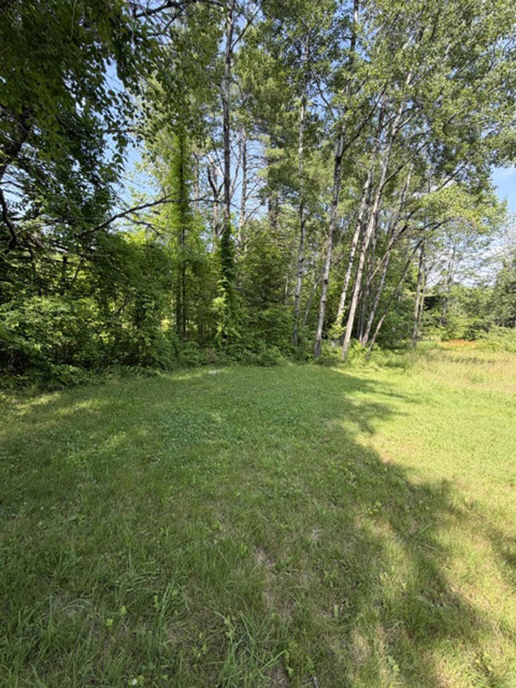 280 Chickville Road Property Photo 7