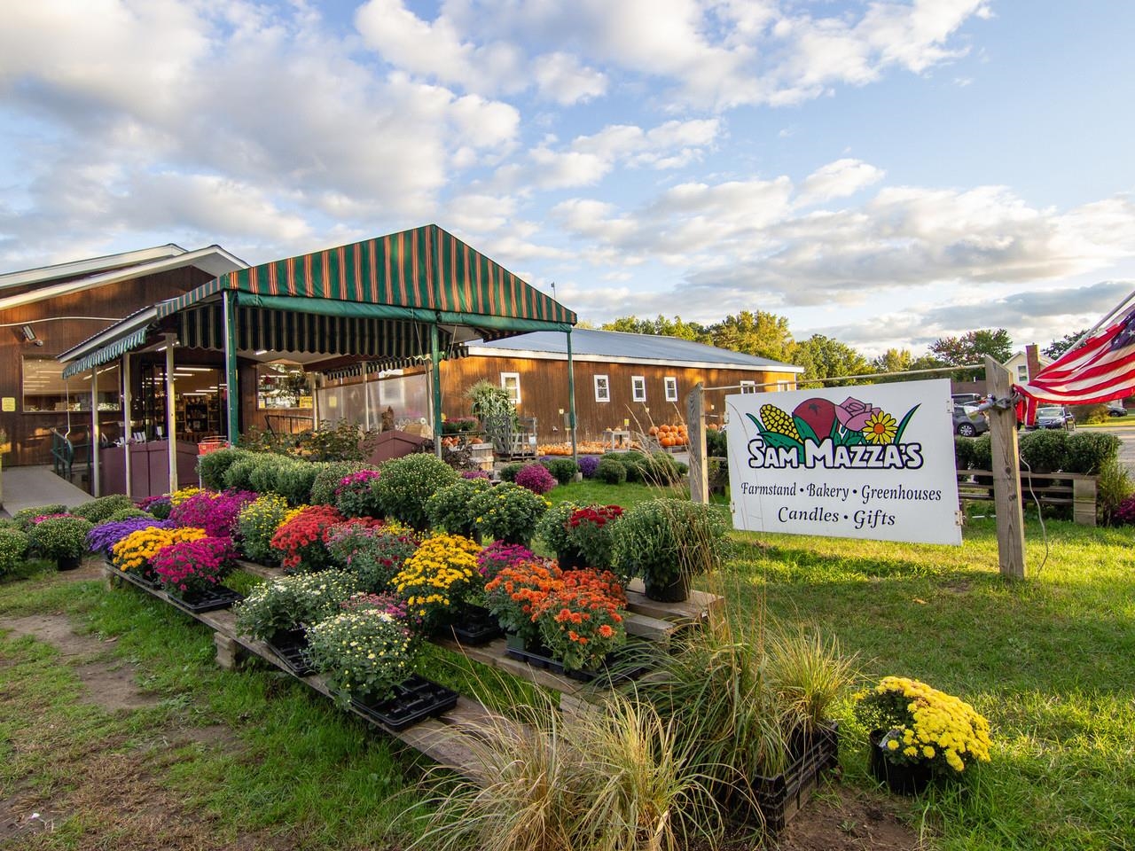 19 East Road Property Photo 35