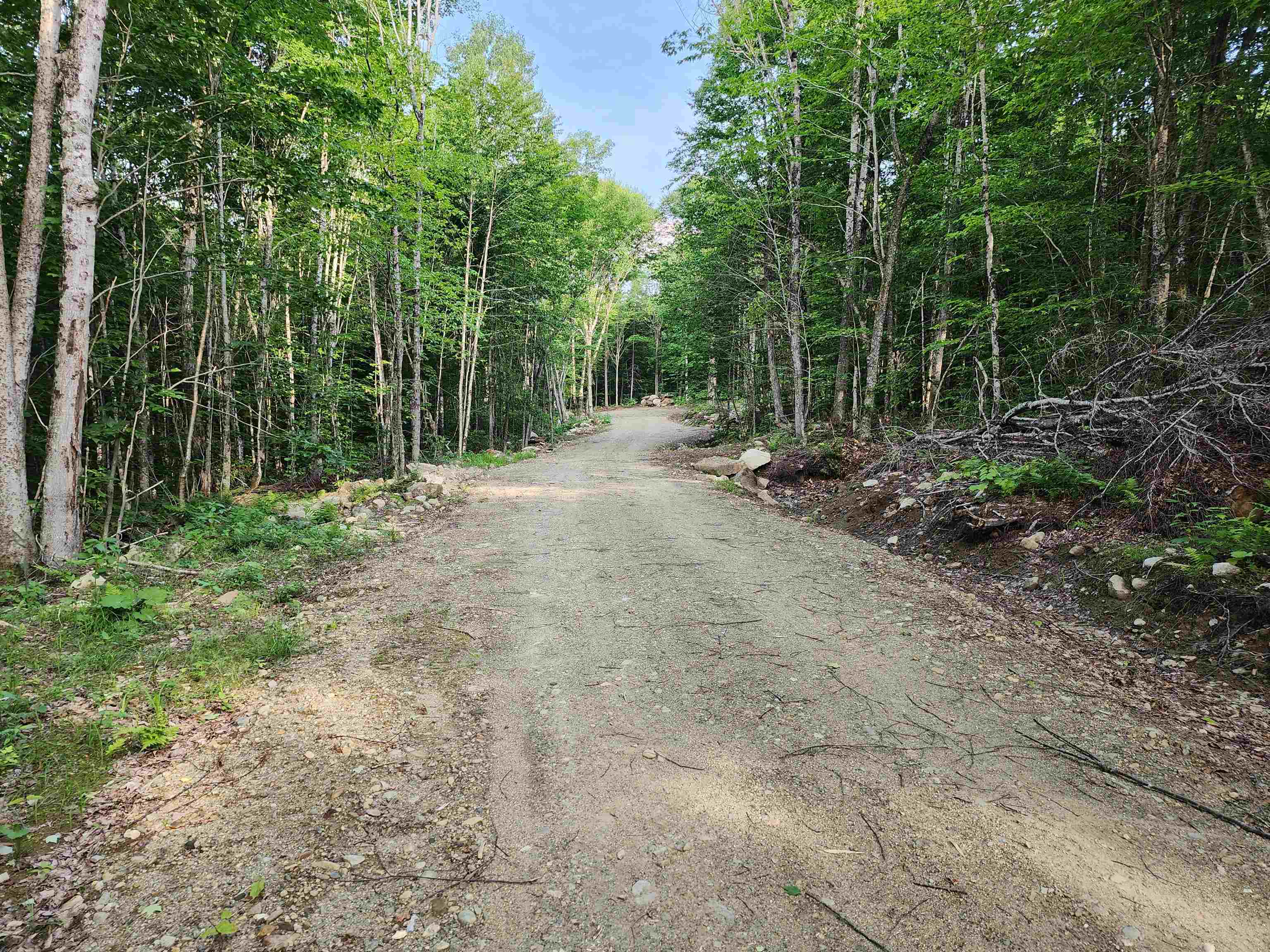 000 Hampshire Woods Loop Property Photo 1