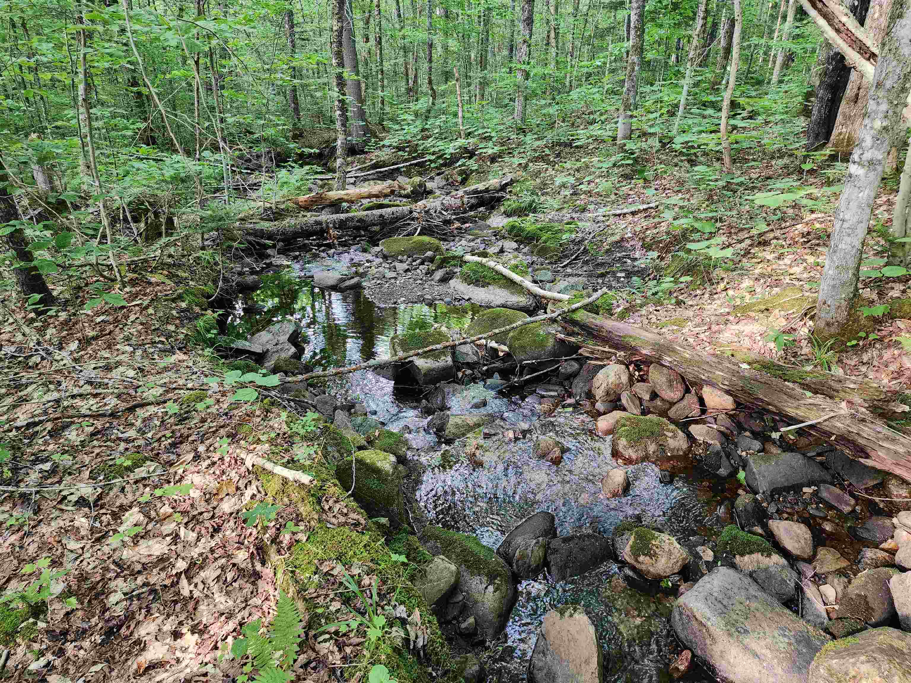 000 Hampshire Woods Loop Property Photo 2