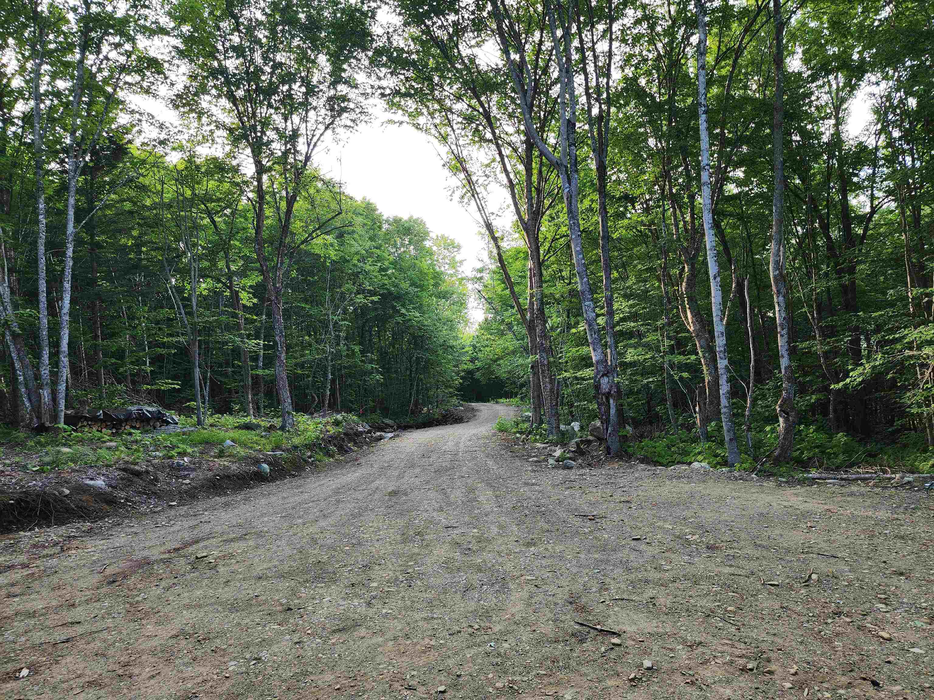 000 Hampshire Woods Loop Property Photo 3