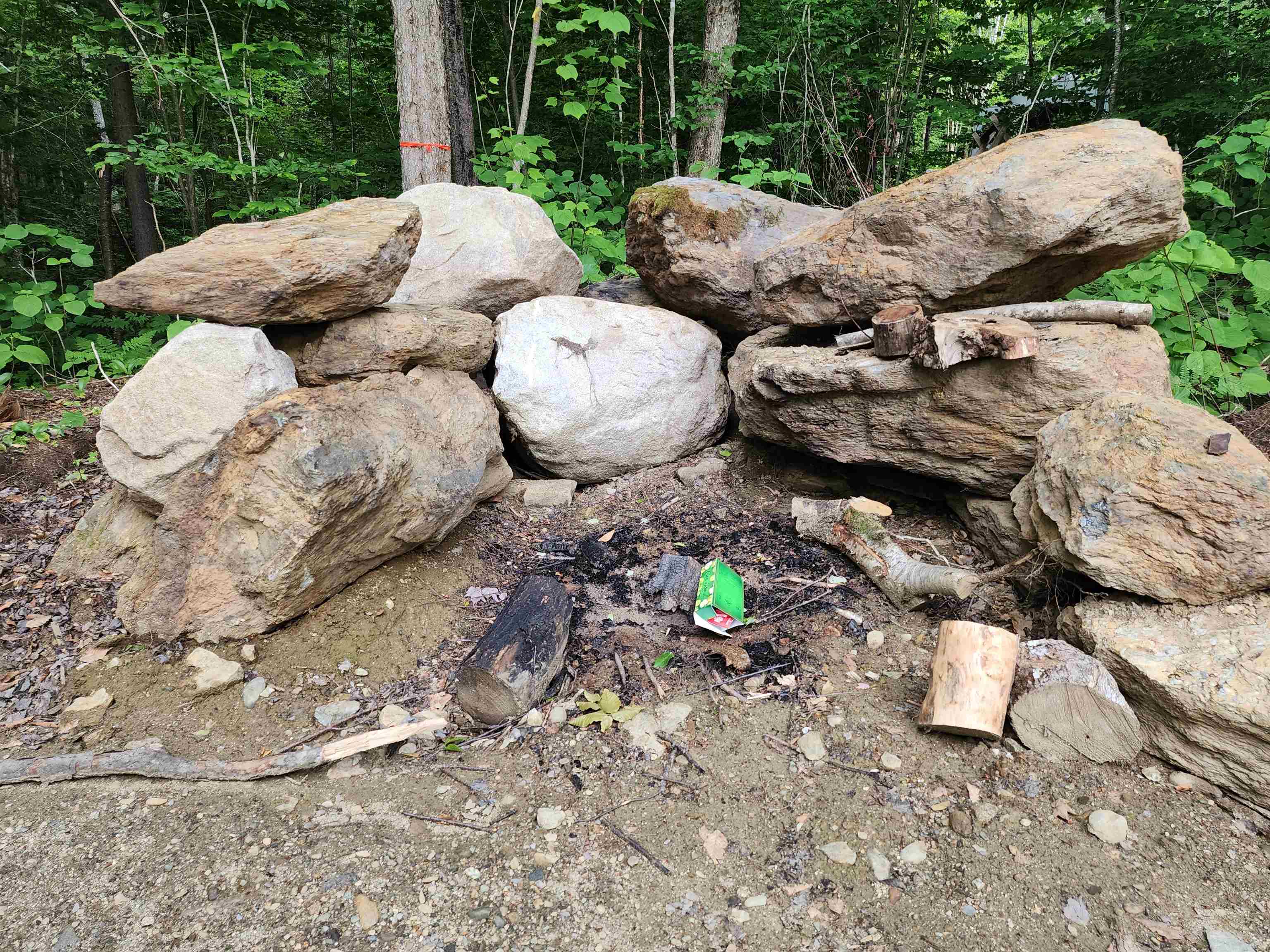 000 Hampshire Woods Loop Property Photo 7