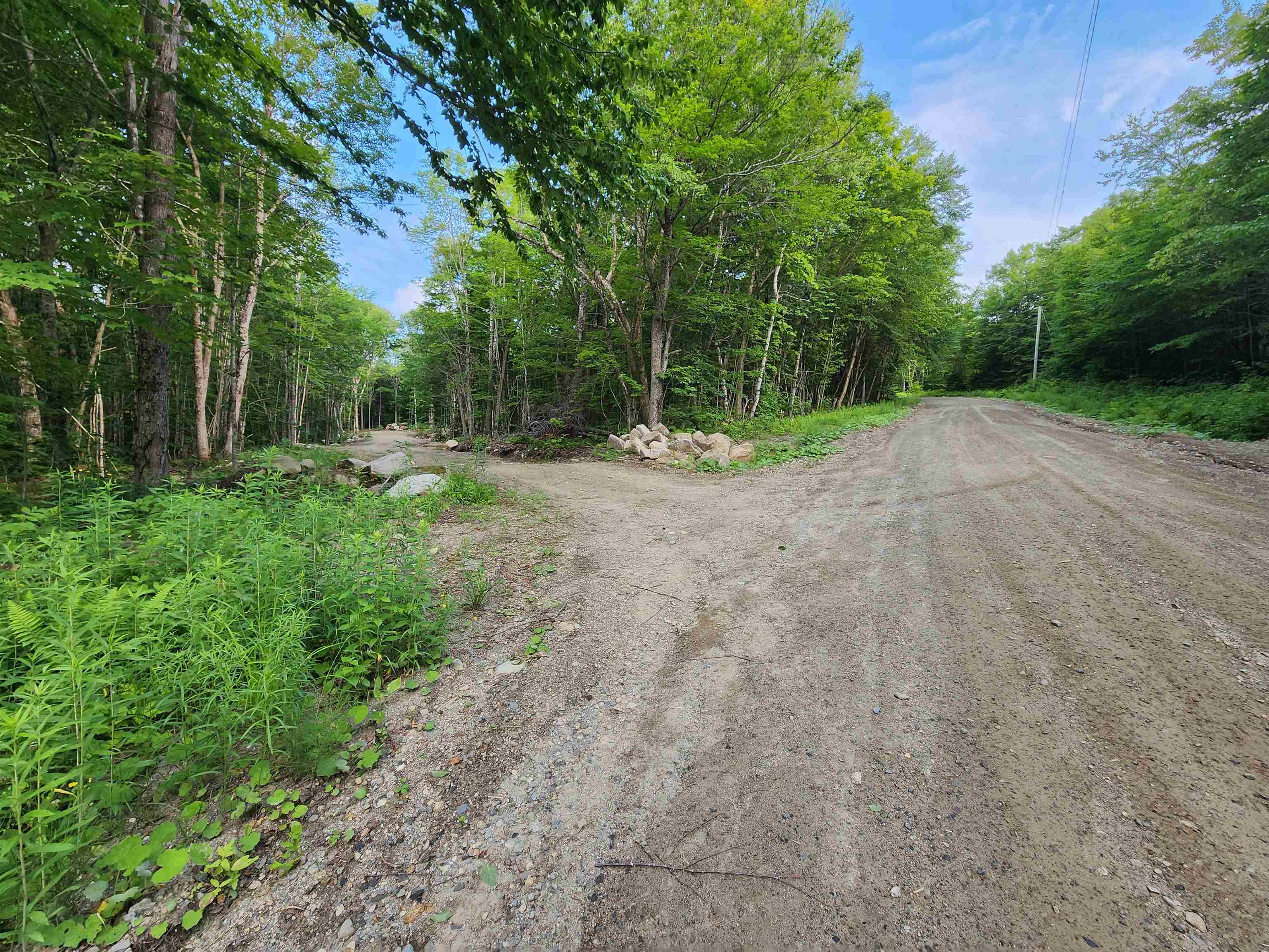 000 Hampshire Woods Loop Property Photo 8