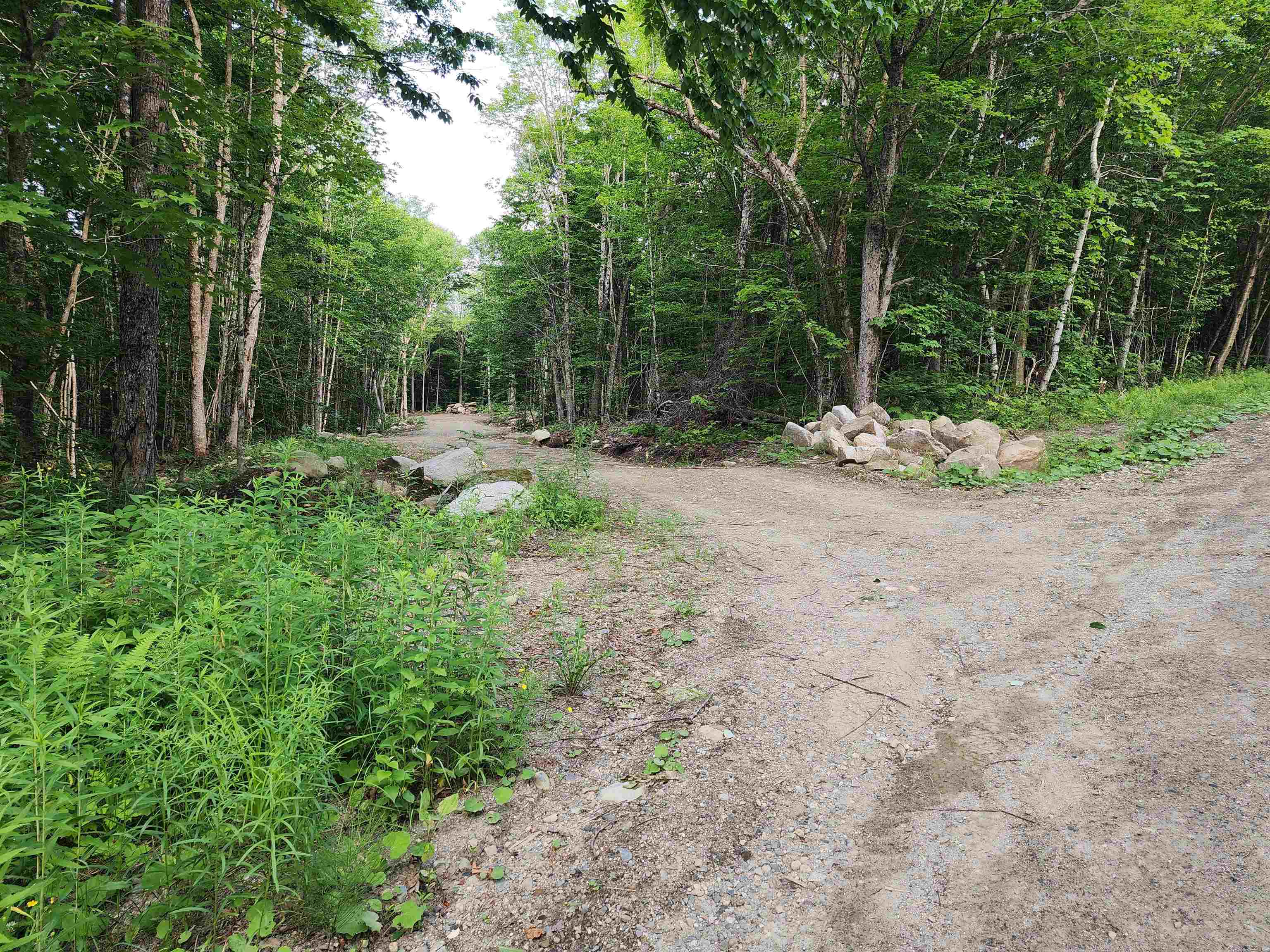 000 Hampshire Woods Loop Property Photo 9