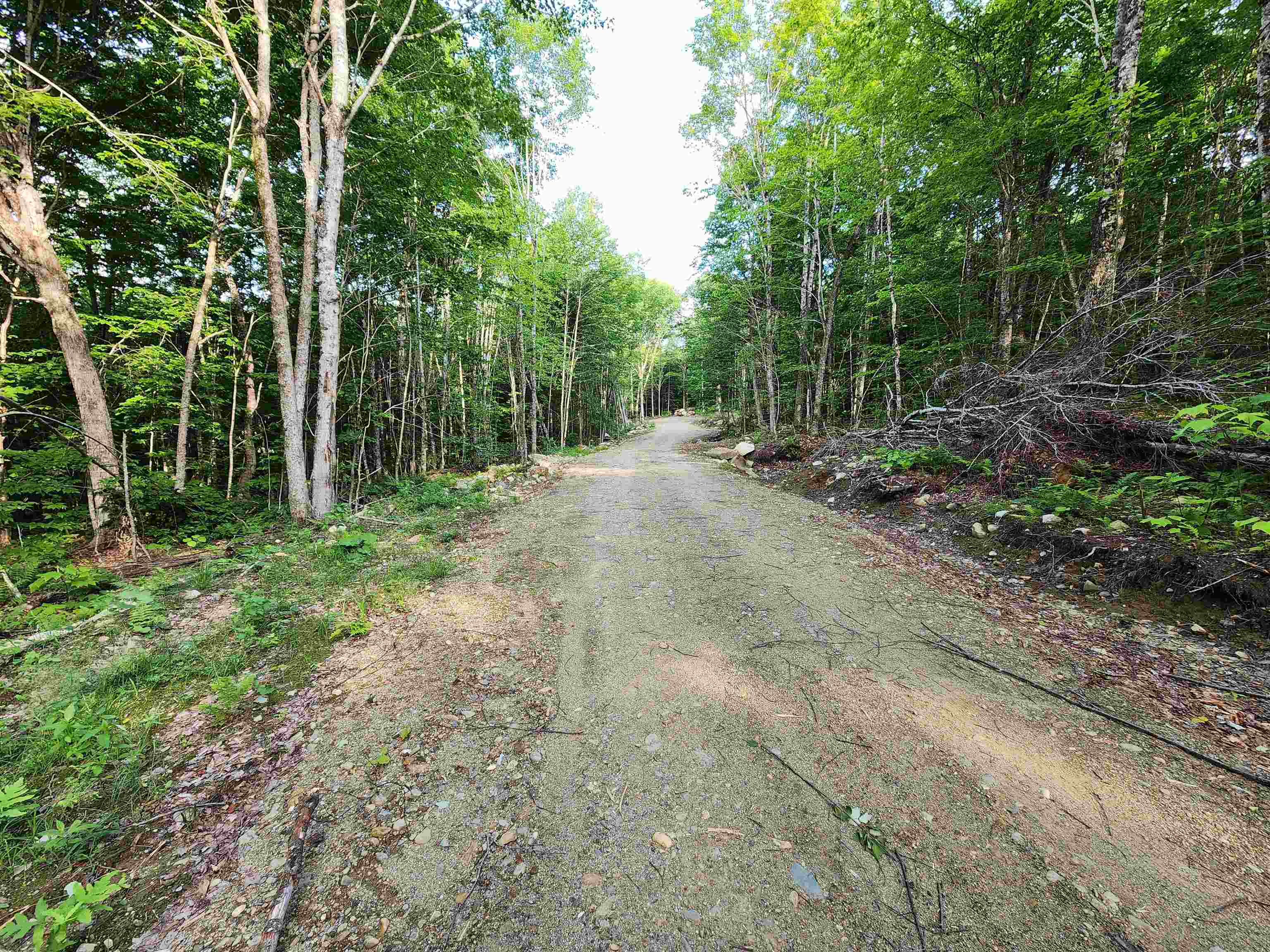 000 Hampshire Woods Loop Property Photo 10