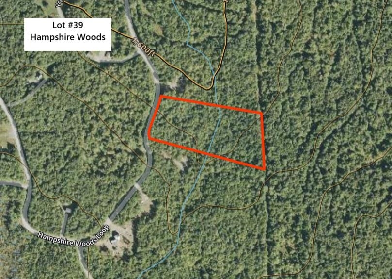 000 Hampshire Woods Loop Property Photo 11