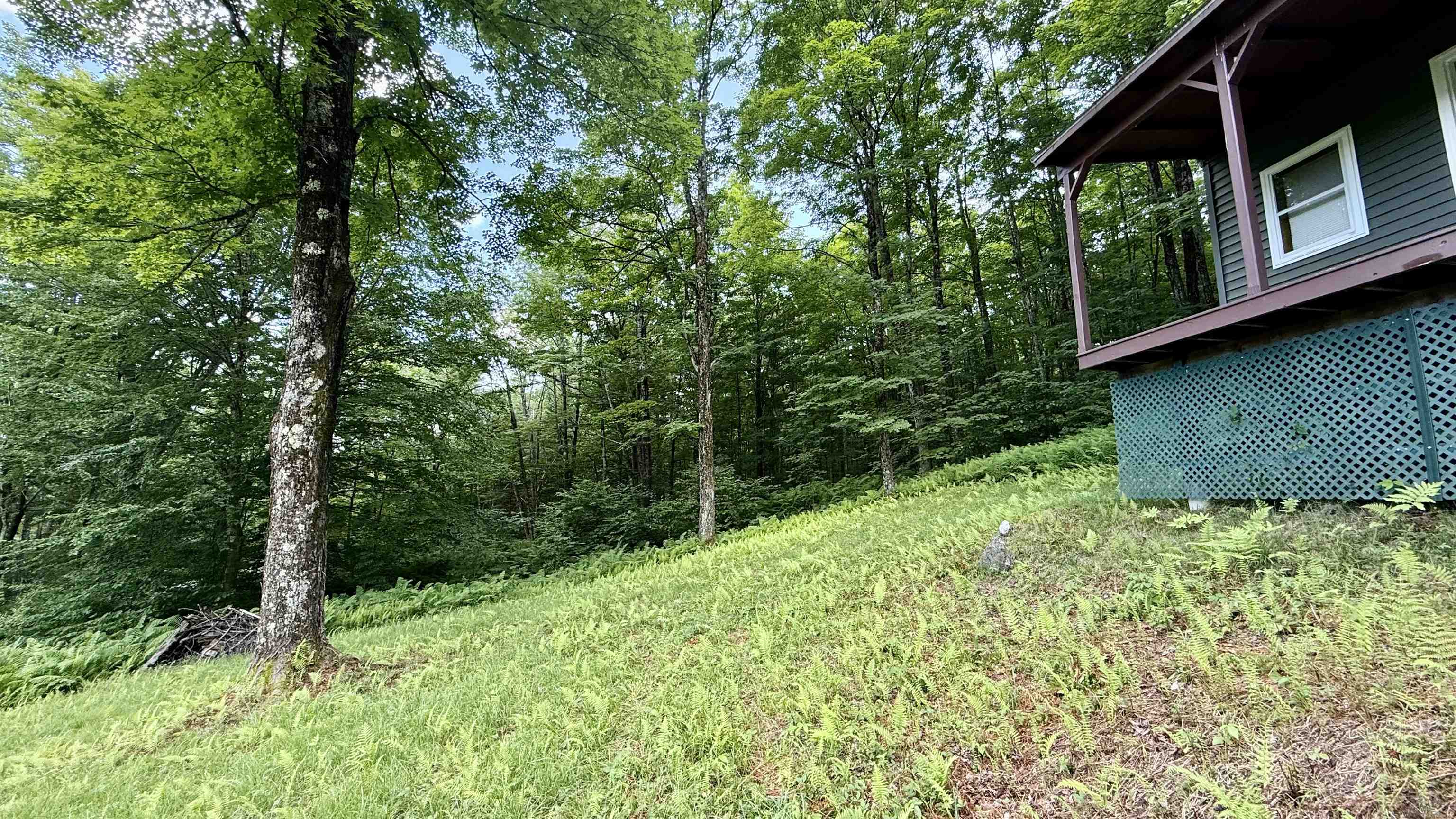 2075 Codding Hollow Road Property Photo 3