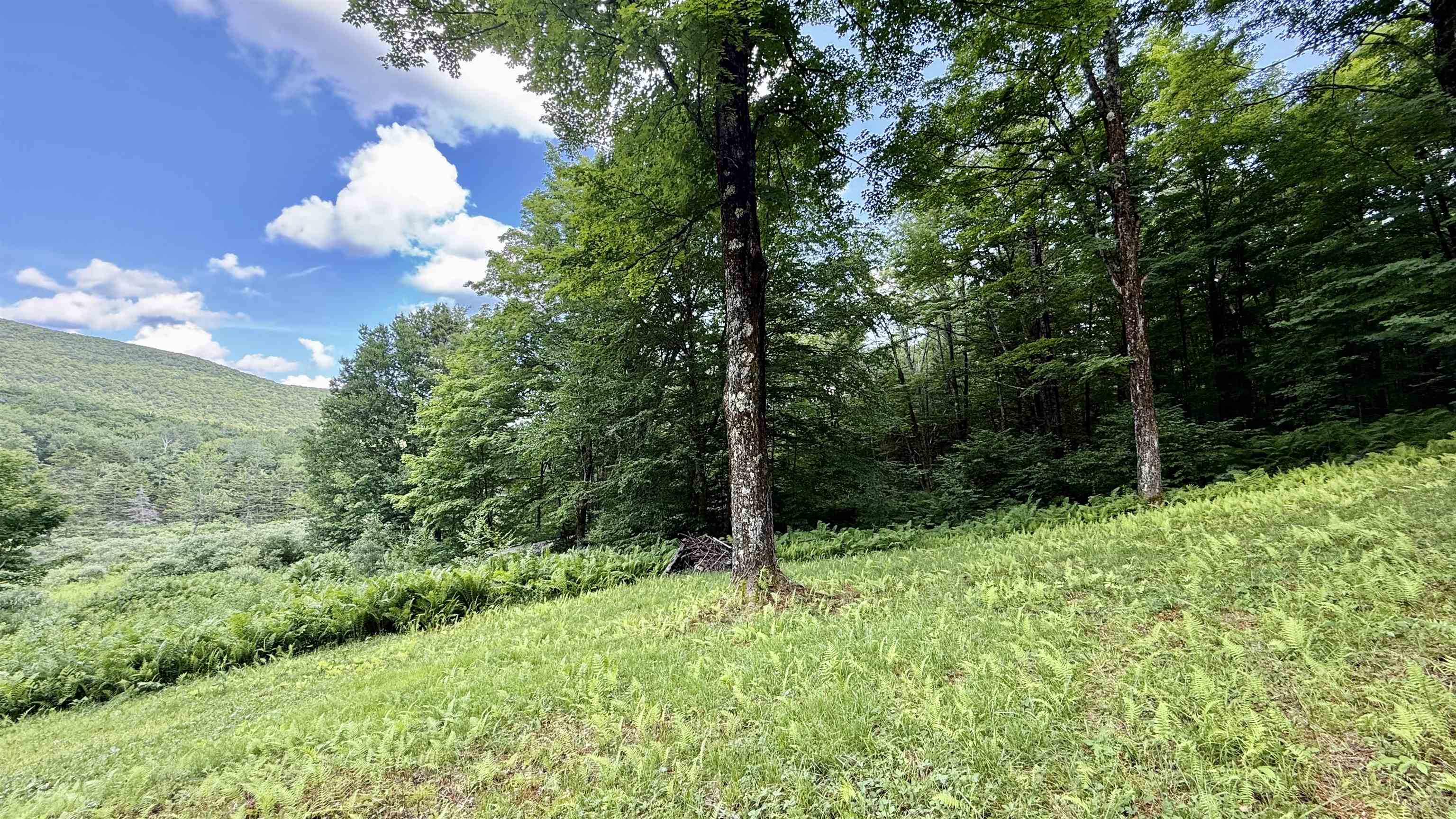 2075 Codding Hollow Road Property Photo 4