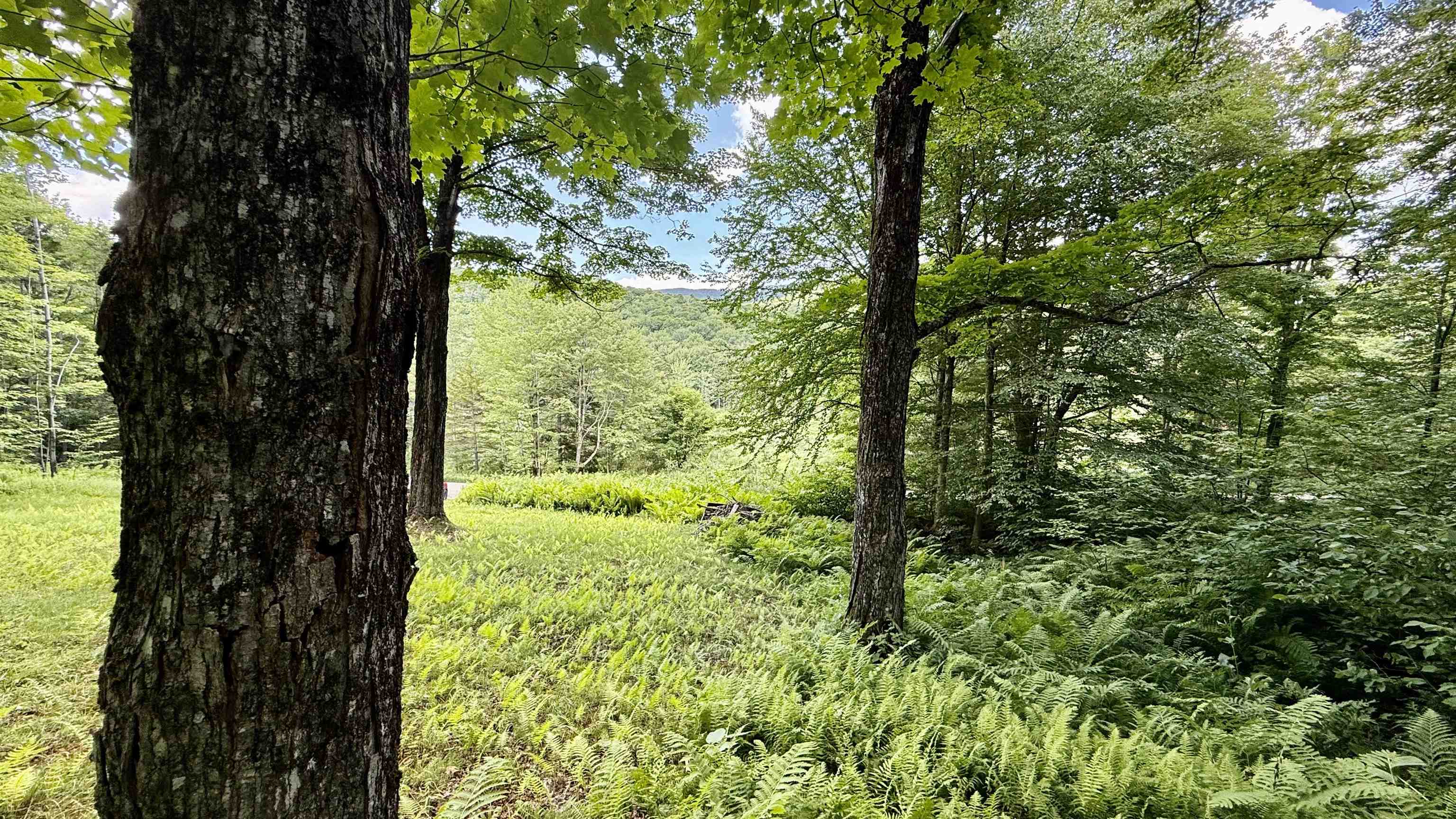 2075 Codding Hollow Road Property Photo 8
