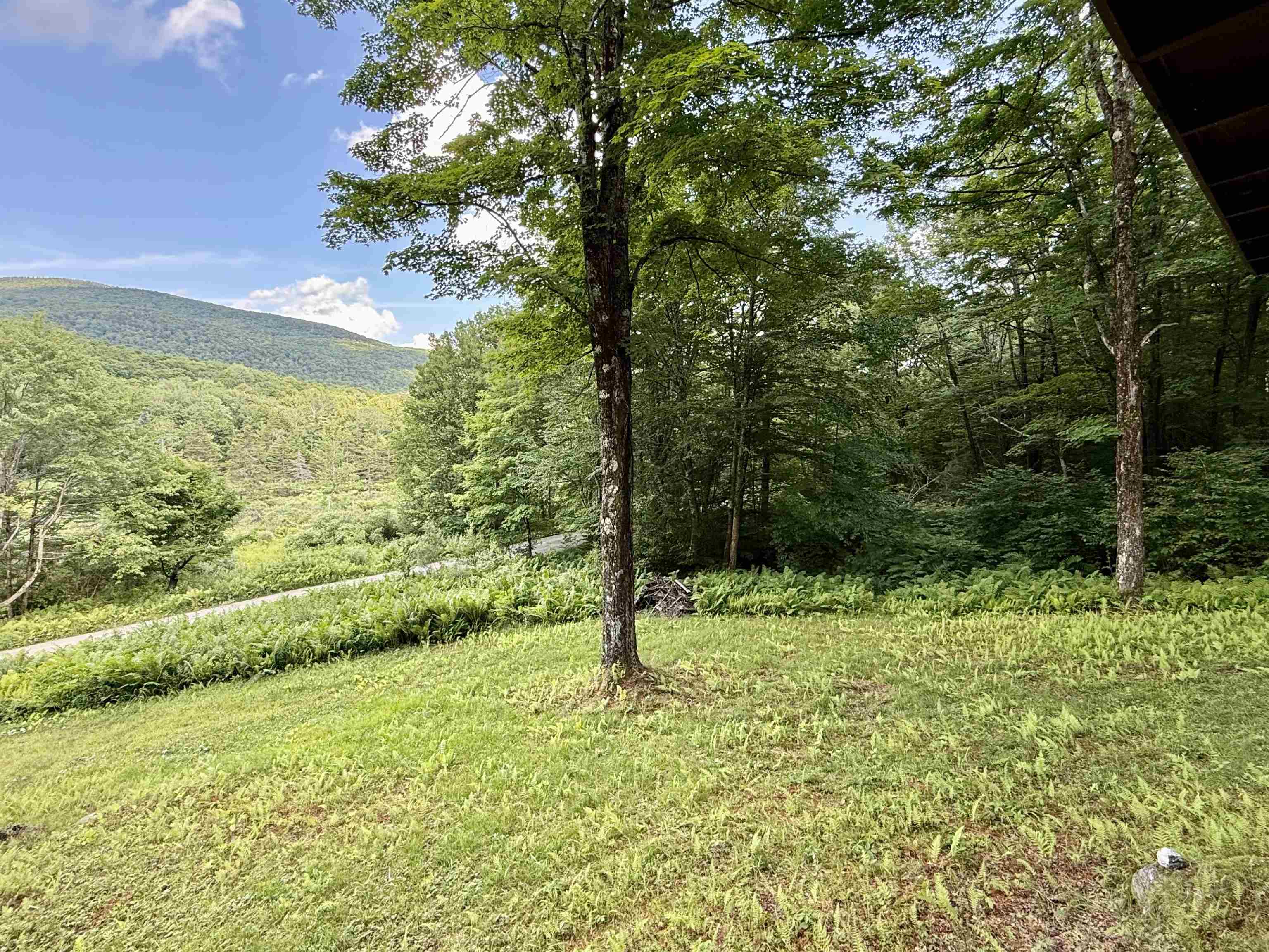 2075 Codding Hollow Road Property Photo 11