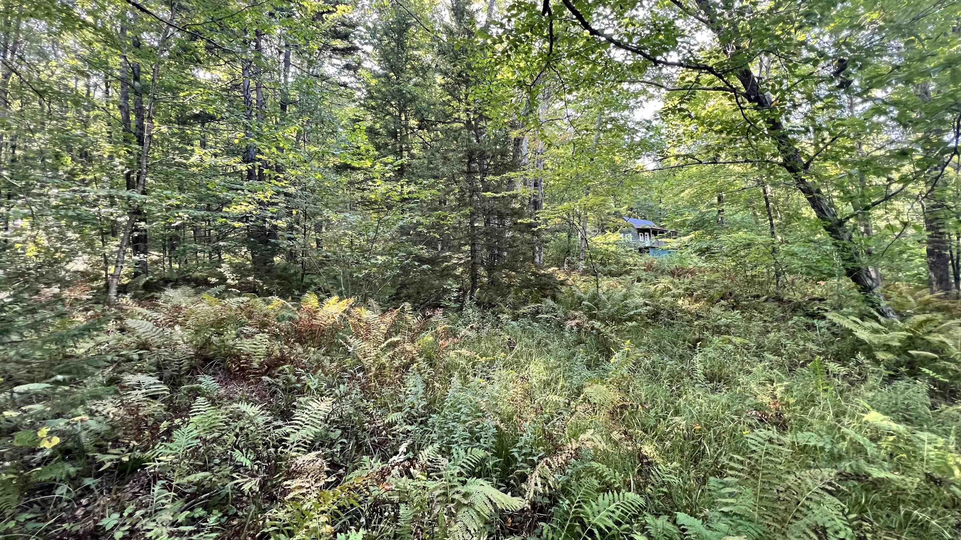 2075 Codding Hollow Road Property Photo 32