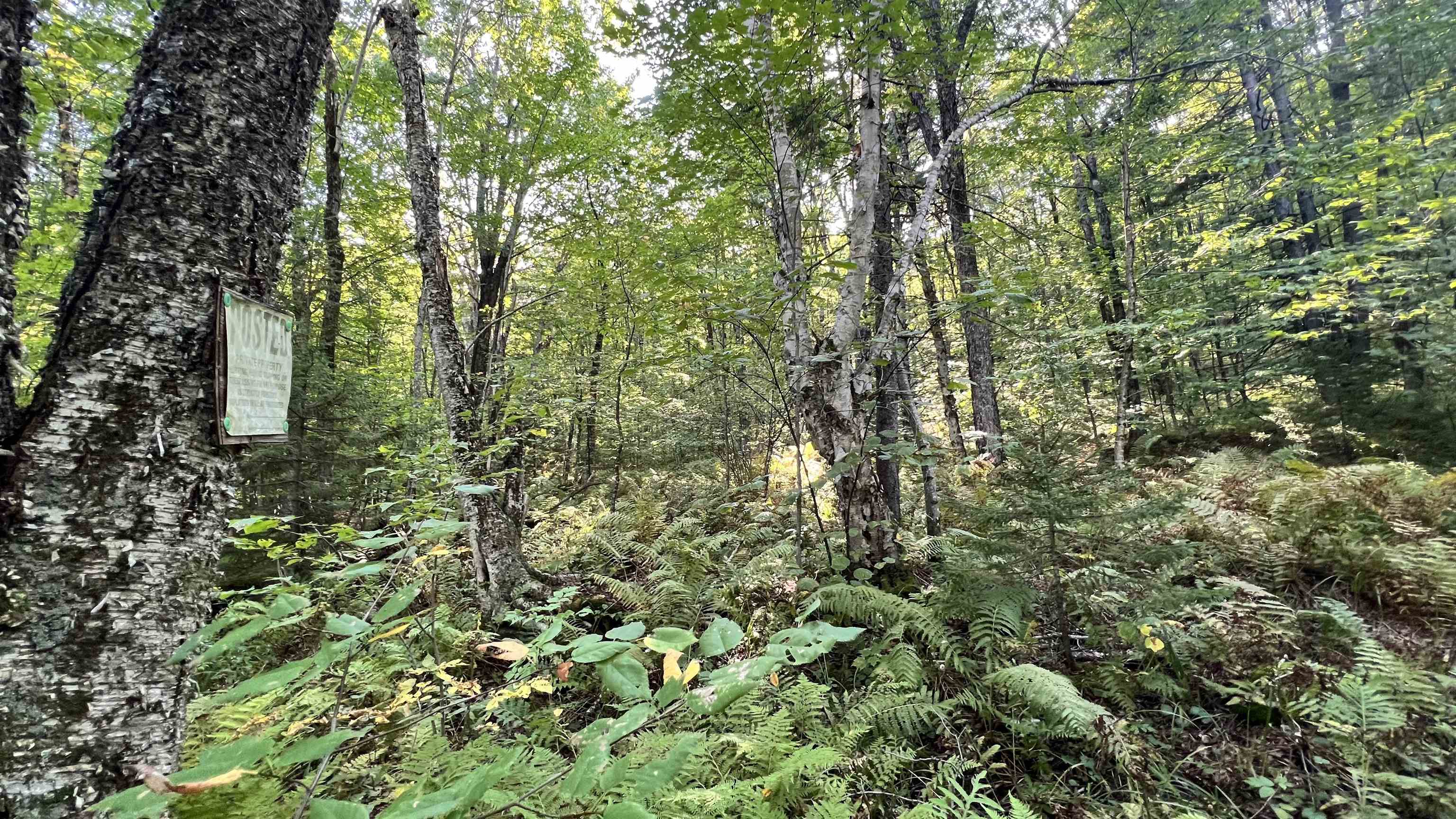 2075 Codding Hollow Road Property Photo 33