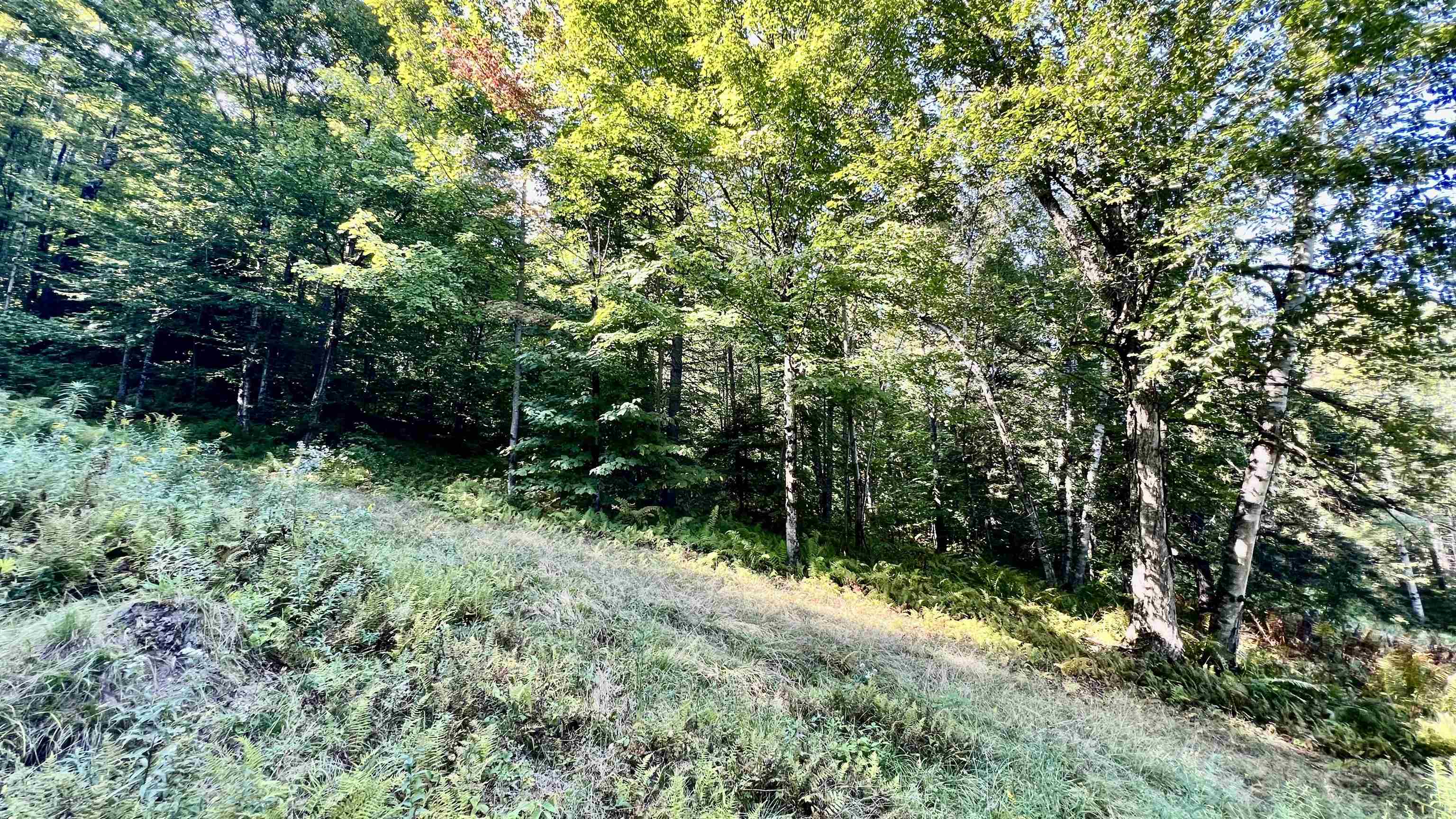 2075 Codding Hollow Road Property Photo 34
