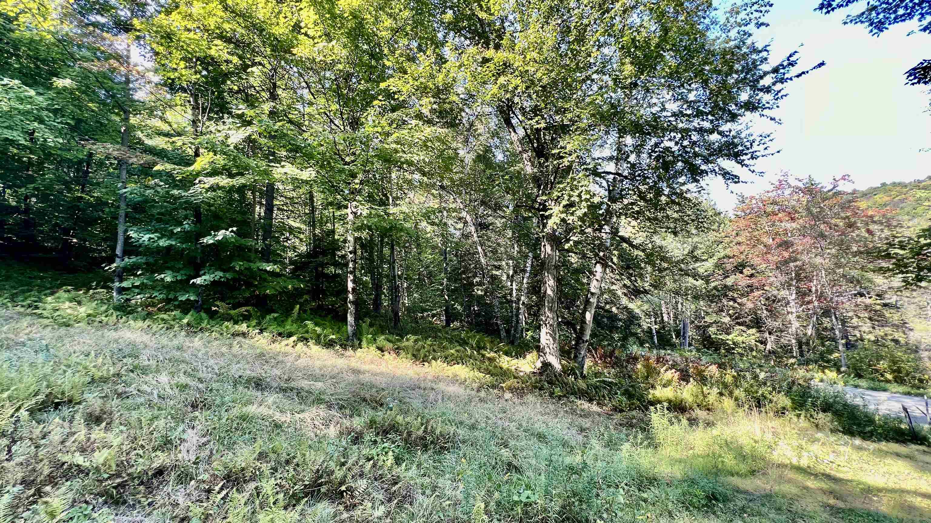 2075 Codding Hollow Road Property Photo 35