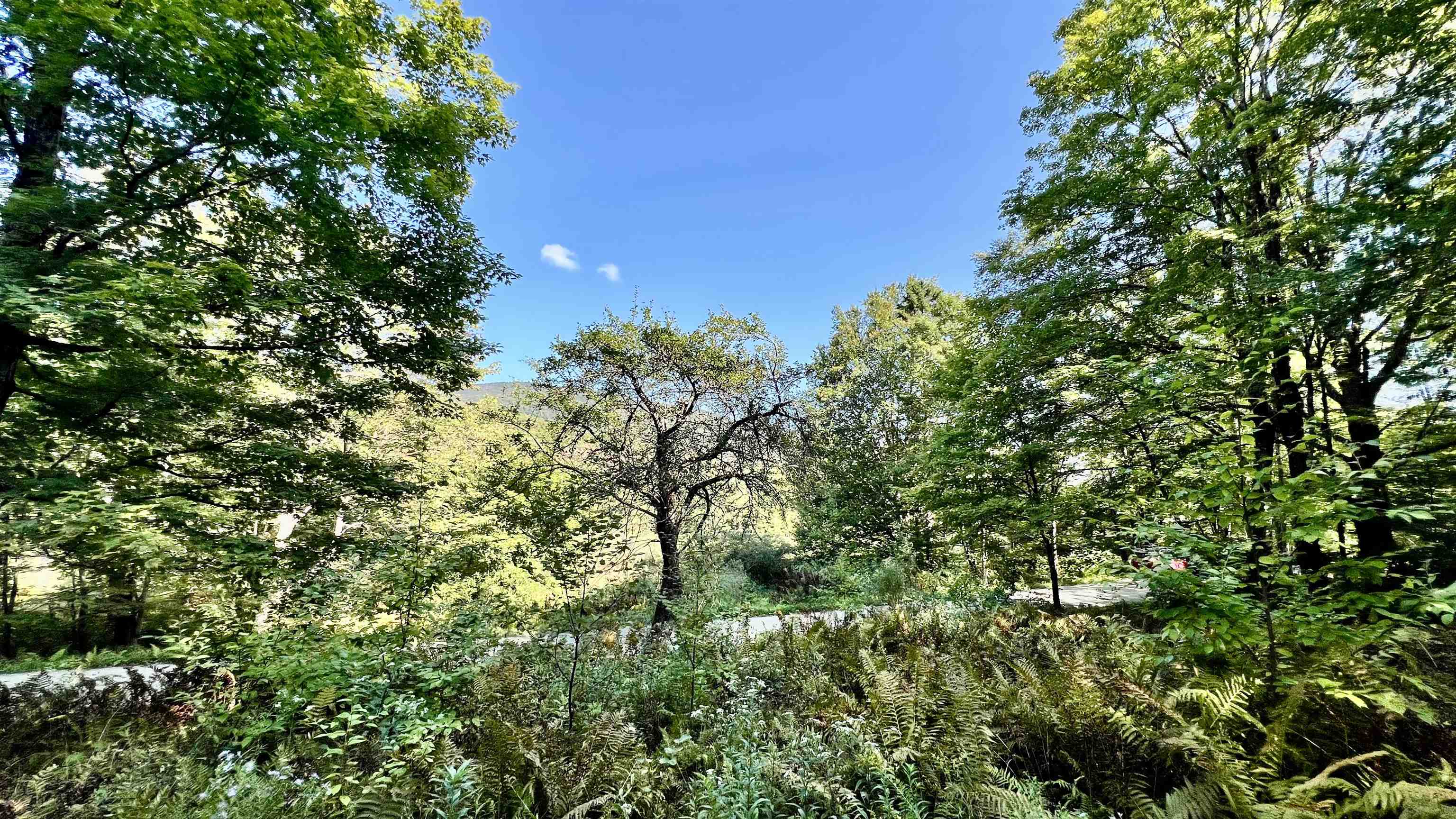 2075 Codding Hollow Road Property Photo 36