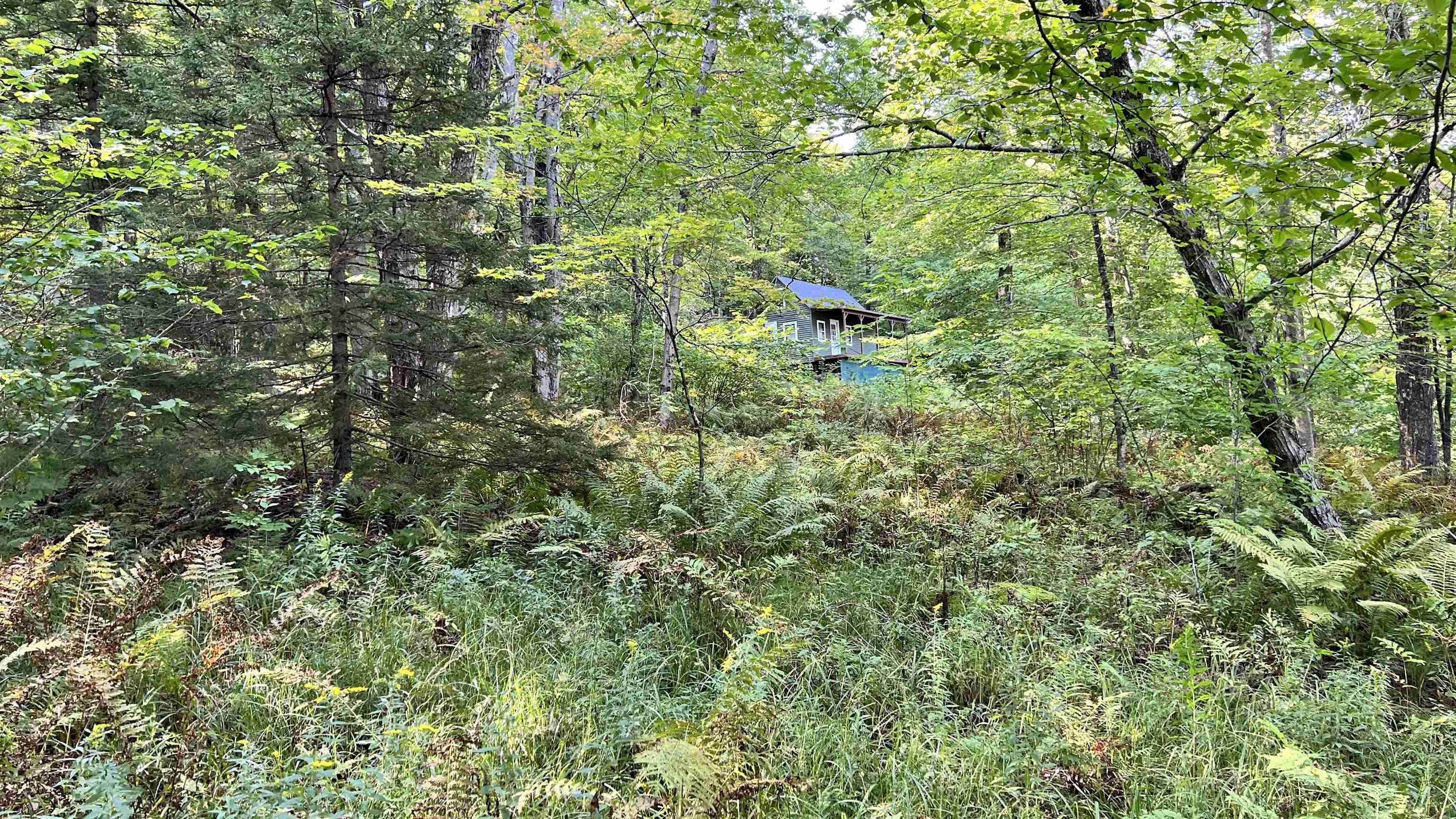 2075 Codding Hollow Road Property Photo 37