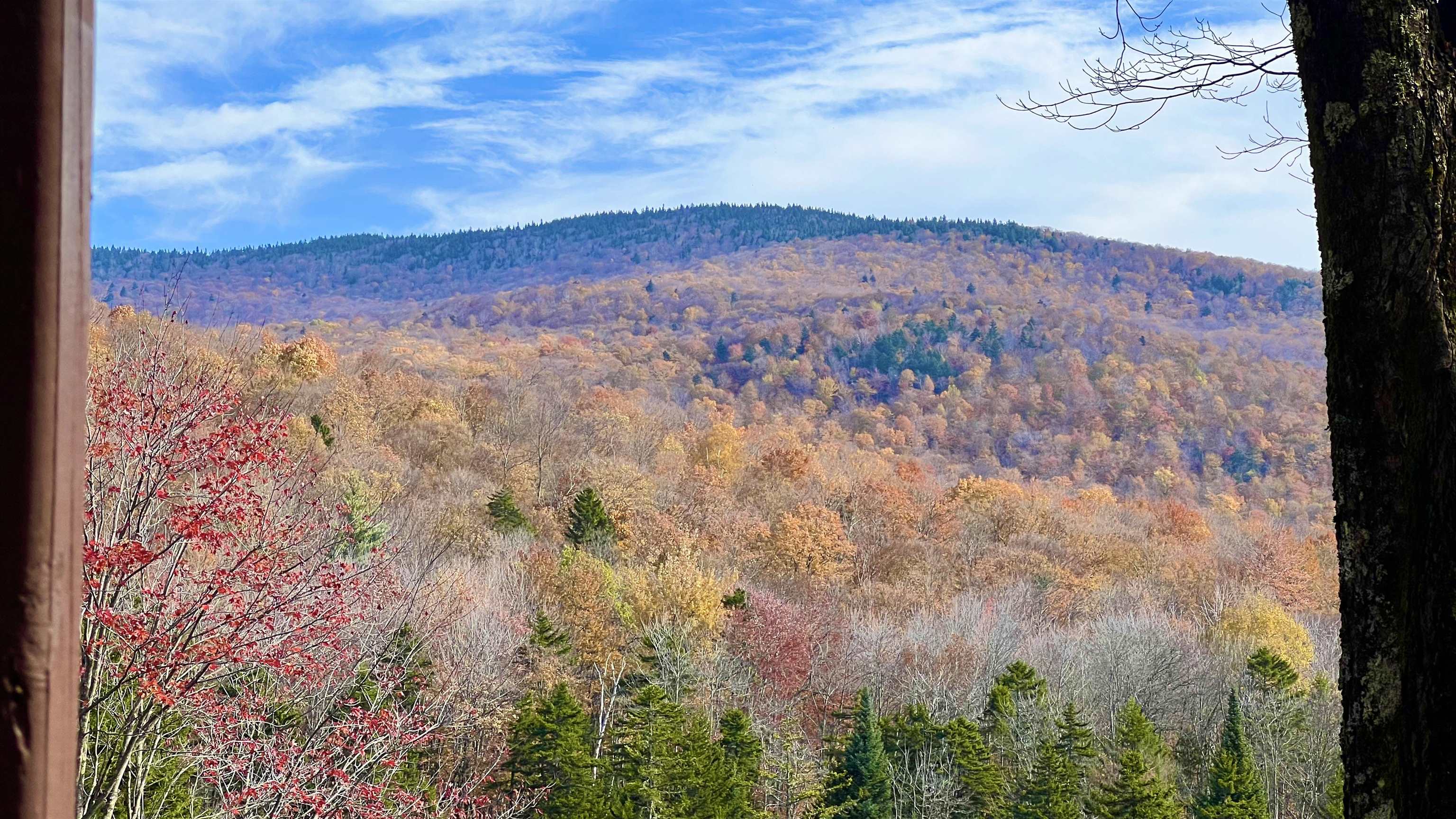 2075 Codding Hollow Road Property Photo 40