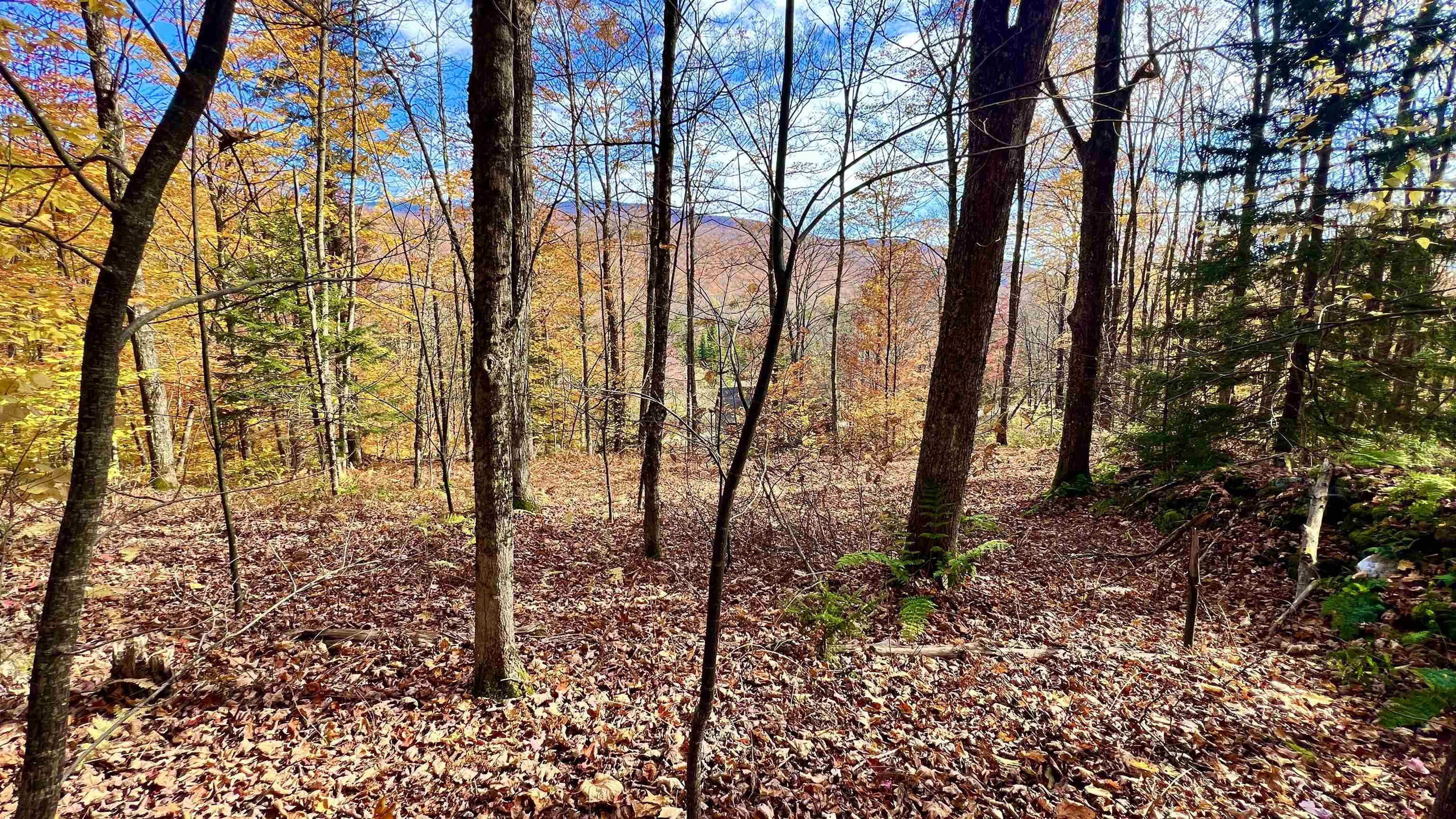 2075 Codding Hollow Road Property Photo 42