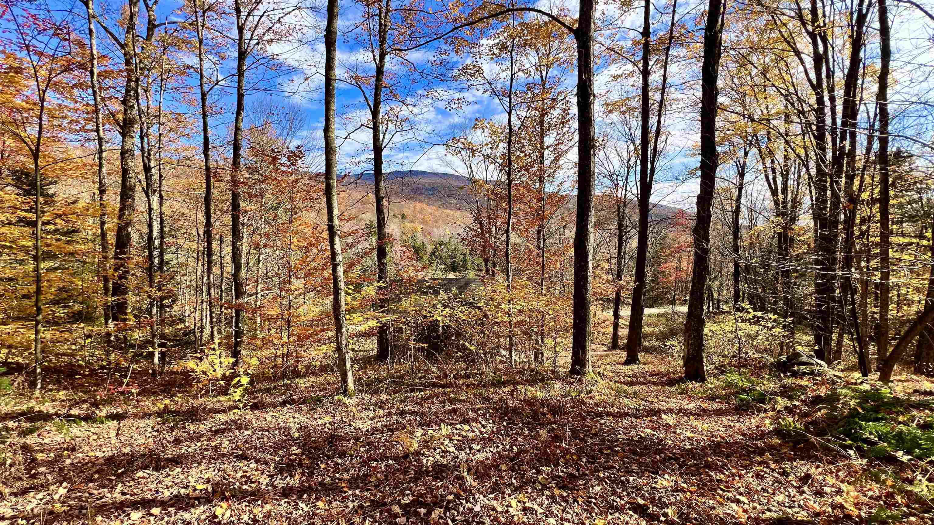 2075 Codding Hollow Road Property Photo 44