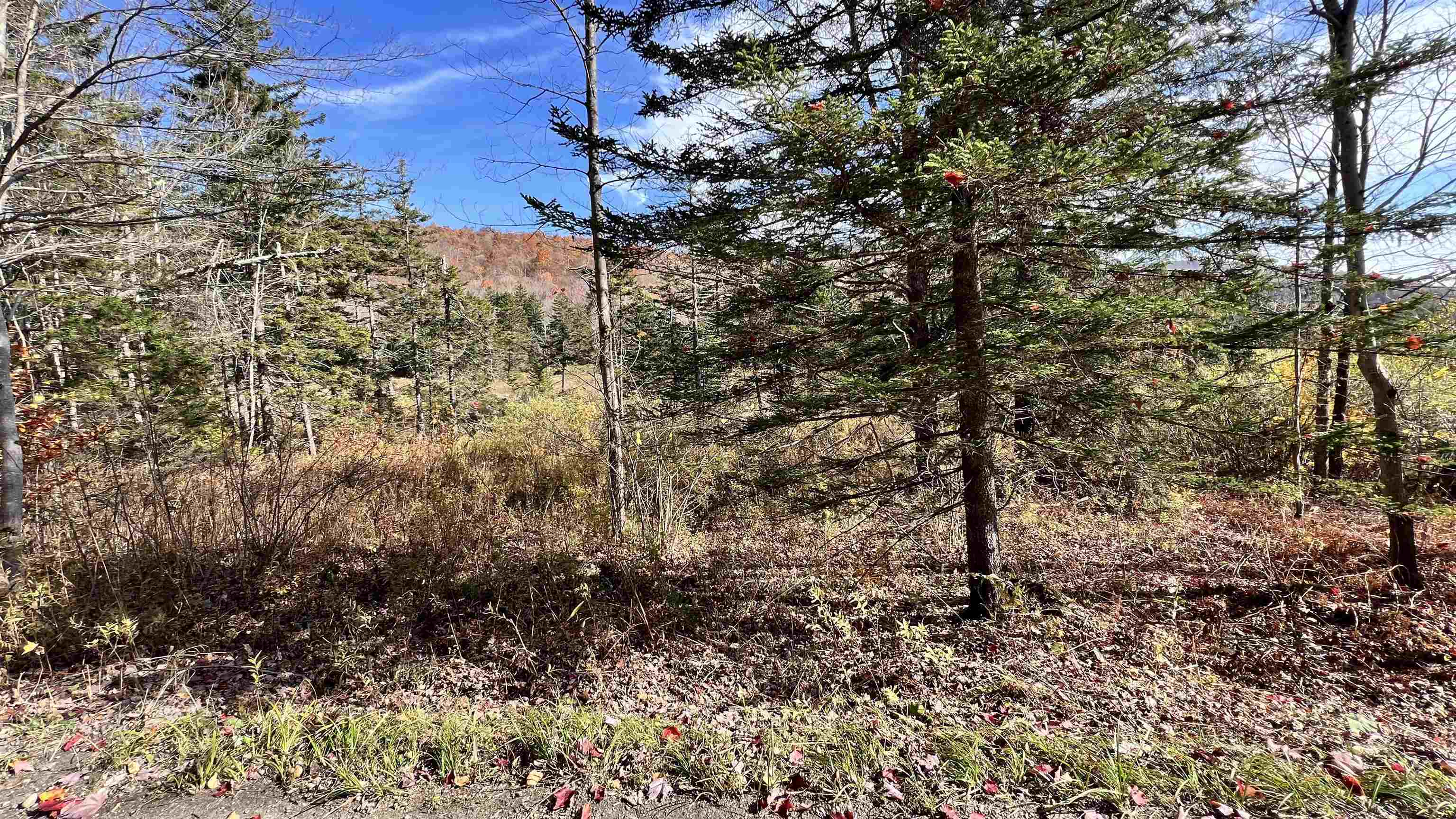 2075 Codding Hollow Road Property Photo 47