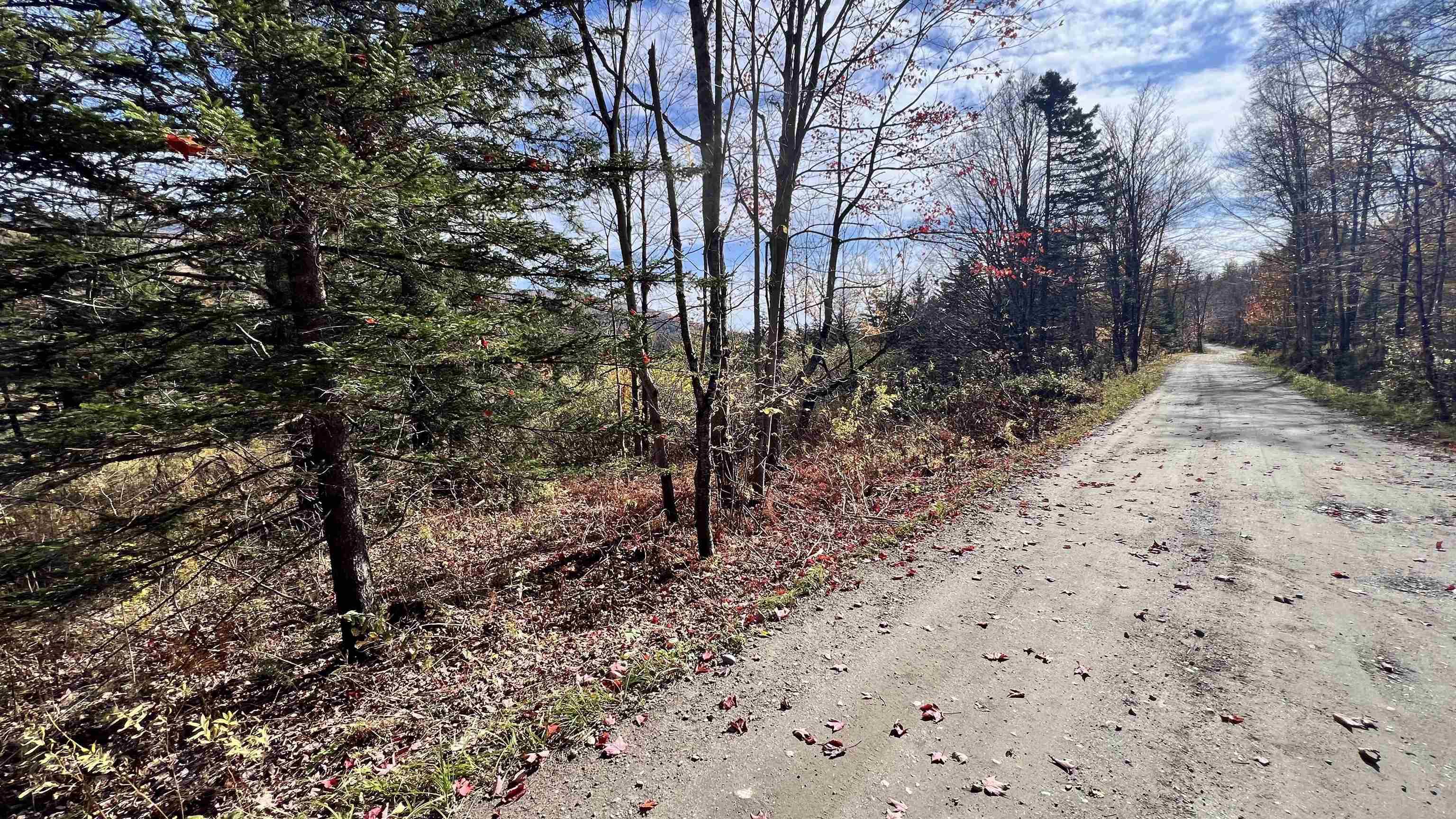 2075 Codding Hollow Road Property Photo 49